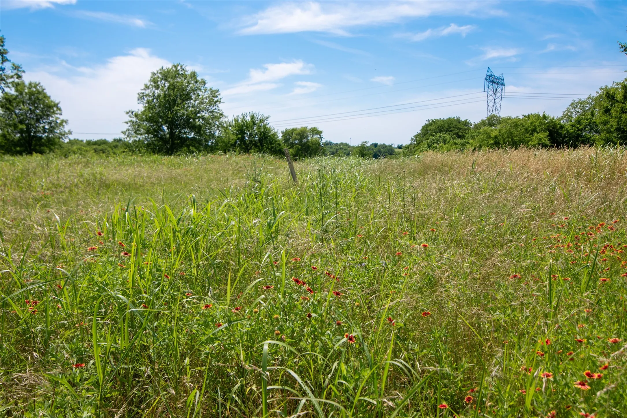 View of local wilderness