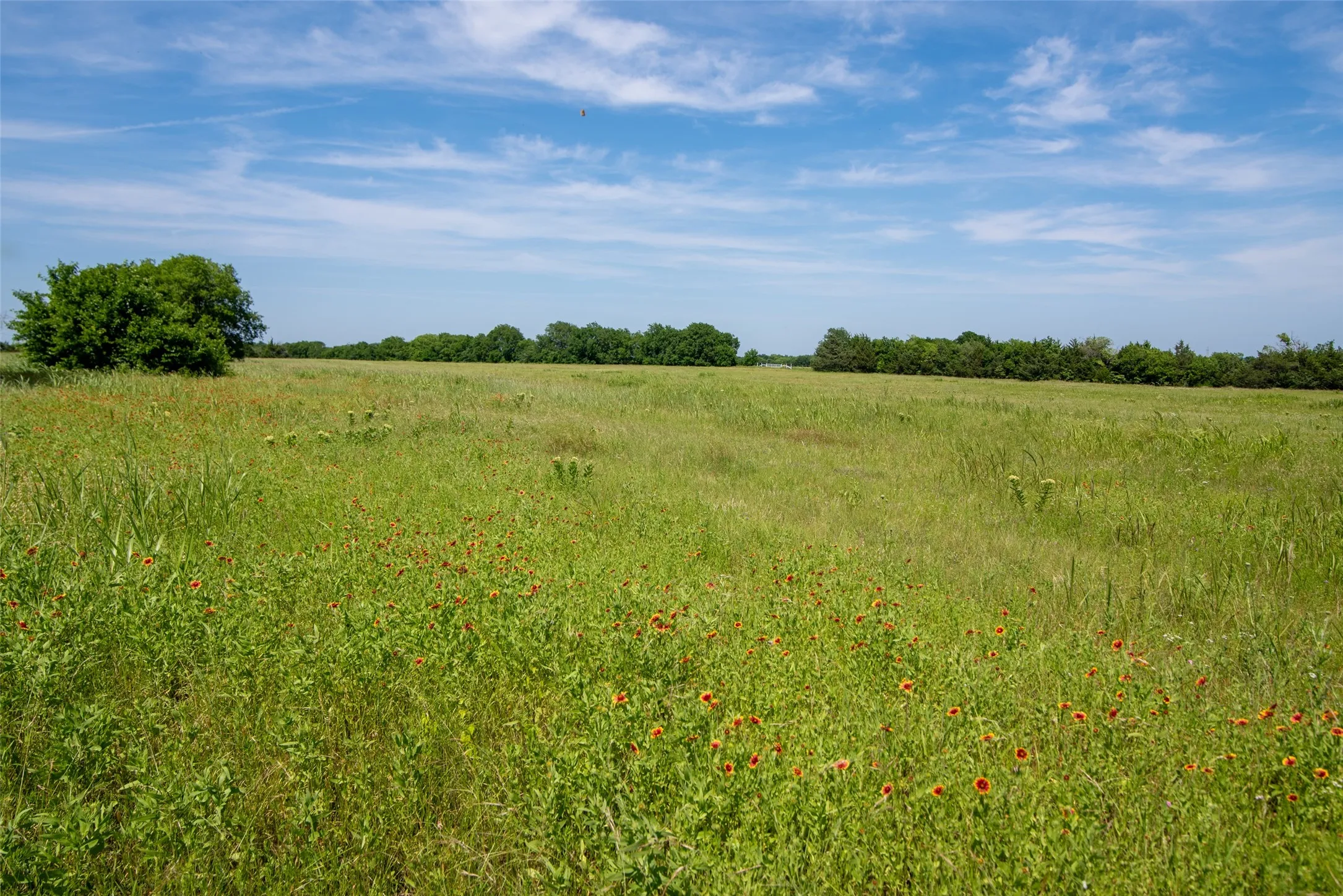 View of local wilderness featuring a rural view
