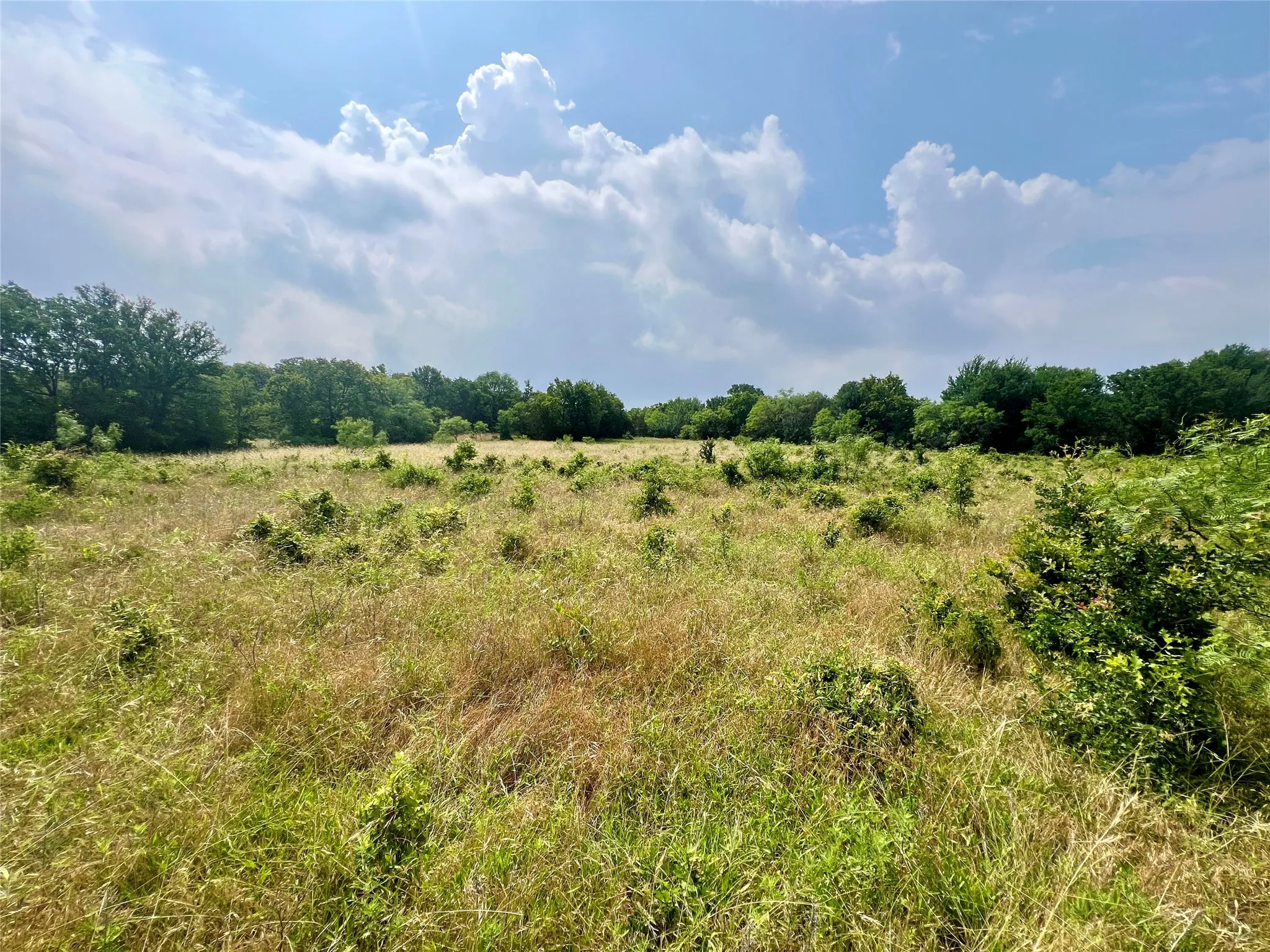 Unimproved Land For Sale in Young County , Tract 7 S. Ranch Dr., Graham, Texas 76450, 0, 0, Garage spaces, 0 Sqft, built in 0, Price $215,000, mls#20624997, Real Estate Agent in Graham, Homes For Sale in Young county, Homes For Sale in Graham, Realtor in Graham Texas, Real Estate Brokerage Independent Realty Texas, Luminita Cordes Realtor