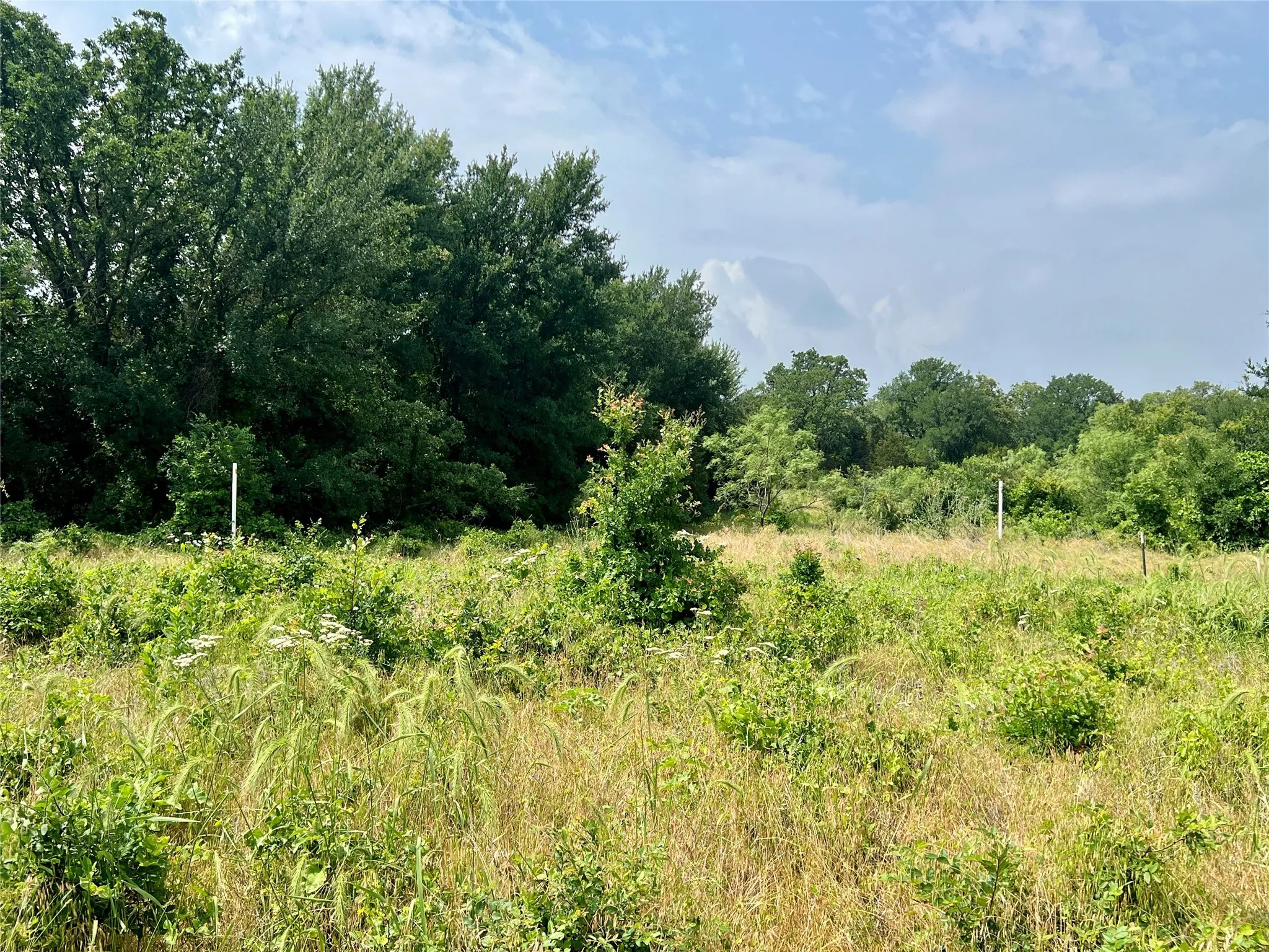 Unimproved Land For Sale in Young County , Tract 7 S. Ranch Dr., Graham, Texas 76450, 0, 0, Garage spaces, 0 Sqft, built in 0, Price $215,000, mls#20624997, Real Estate Agent in Graham, Homes For Sale in Young county, Homes For Sale in Graham, Realtor in Graham Texas, Real Estate Brokerage Independent Realty Texas, Luminita Cordes Realtor