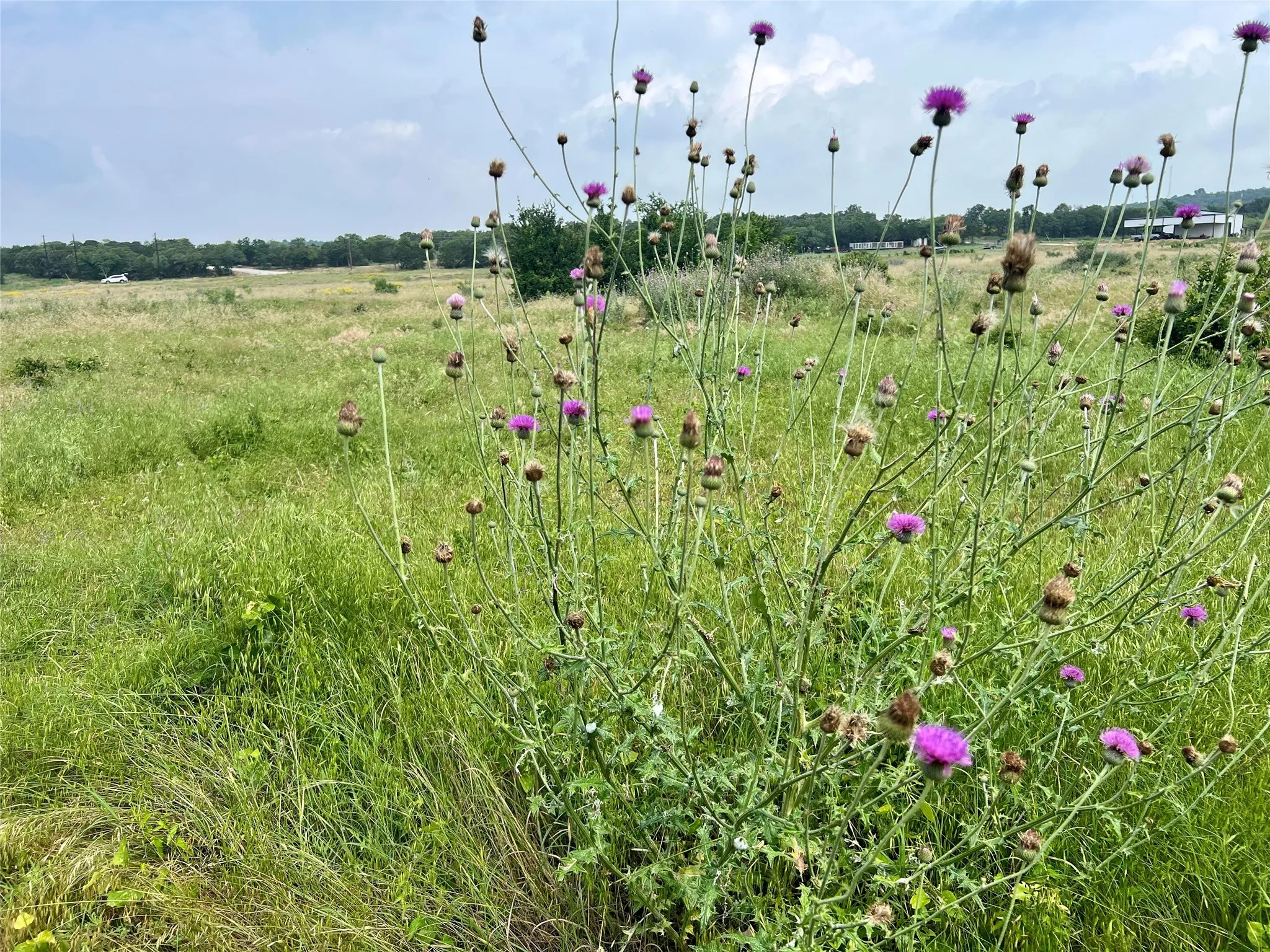Unimproved Land For Sale in Young County , Tract 7 S. Ranch Dr., Graham, Texas 76450, 0, 0, Garage spaces, 0 Sqft, built in 0, Price $215,000, mls#20624997, Real Estate Agent in Graham, Homes For Sale in Young county, Homes For Sale in Graham, Realtor in Graham Texas, Real Estate Brokerage Independent Realty Texas, Luminita Cordes Realtor