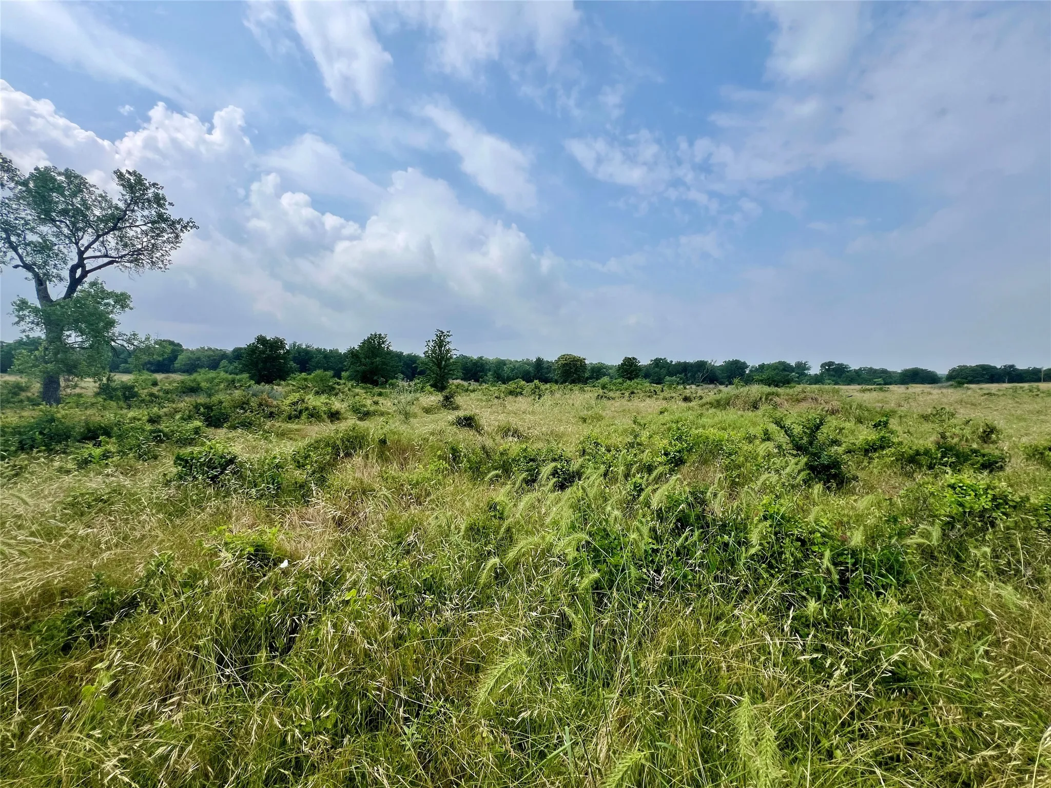 Unimproved Land For Sale in Young County , Tract 7 S. Ranch Dr., Graham, Texas 76450, 0, 0, Garage spaces, 0 Sqft, built in 0, Price $215,000, mls#20624997, Real Estate Agent in Graham, Homes For Sale in Young county, Homes For Sale in Graham, Realtor in Graham Texas, Real Estate Brokerage Independent Realty Texas, Luminita Cordes Realtor