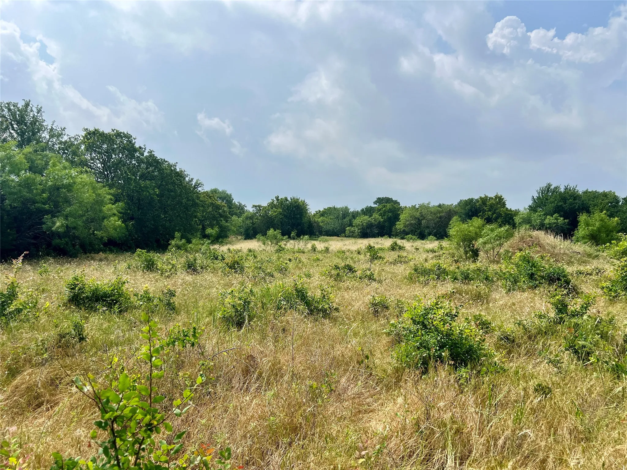 Unimproved Land For Sale in Young County , Tract 7 S. Ranch Dr., Graham, Texas 76450, 0, 0, Garage spaces, 0 Sqft, built in 0, Price $215,000, mls#20624997, Real Estate Agent in Graham, Homes For Sale in Young county, Homes For Sale in Graham, Realtor in Graham Texas, Real Estate Brokerage Independent Realty Texas, Luminita Cordes Realtor
