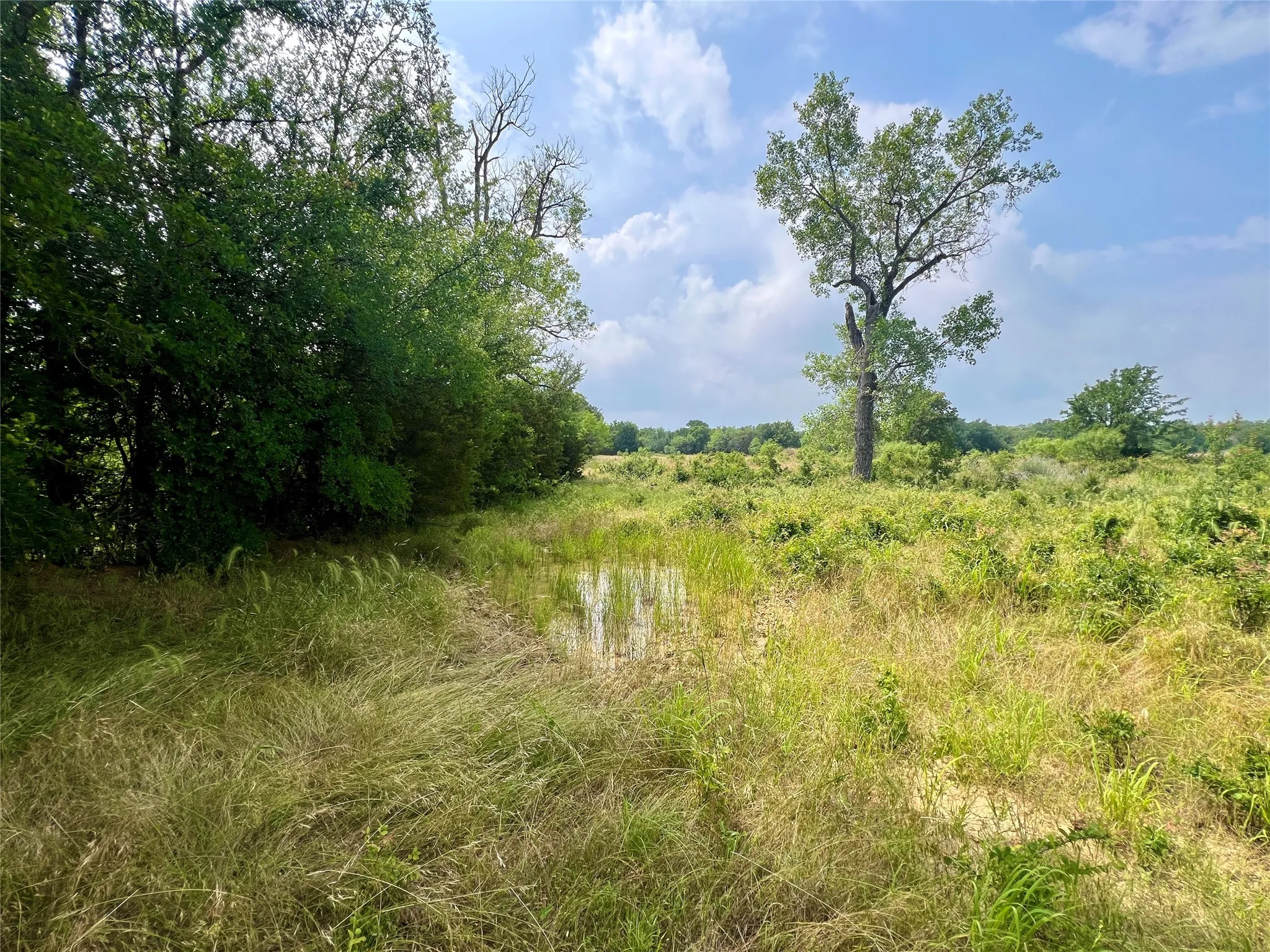 Unimproved Land For Sale in Young County , Tract 7 S. Ranch Dr., Graham, Texas 76450, 0, 0, Garage spaces, 0 Sqft, built in 0, Price $215,000, mls#20624997, Real Estate Agent in Graham, Homes For Sale in Young county, Homes For Sale in Graham, Realtor in Graham Texas, Real Estate Brokerage Independent Realty Texas, Luminita Cordes Realtor