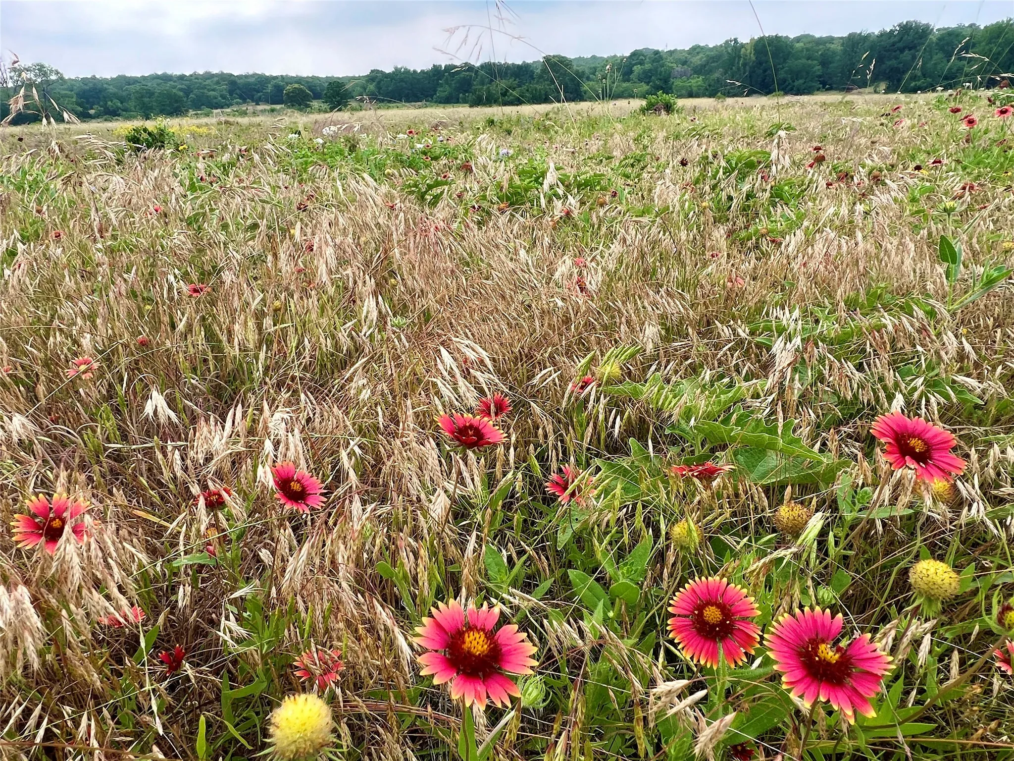 Unimproved Land For Sale in Young County , Tract 7 S. Ranch Dr., Graham, Texas 76450, 0, 0, Garage spaces, 0 Sqft, built in 0, Price $215,000, mls#20624997, Real Estate Agent in Graham, Homes For Sale in Young county, Homes For Sale in Graham, Realtor in Graham Texas, Real Estate Brokerage Independent Realty Texas, Luminita Cordes Realtor