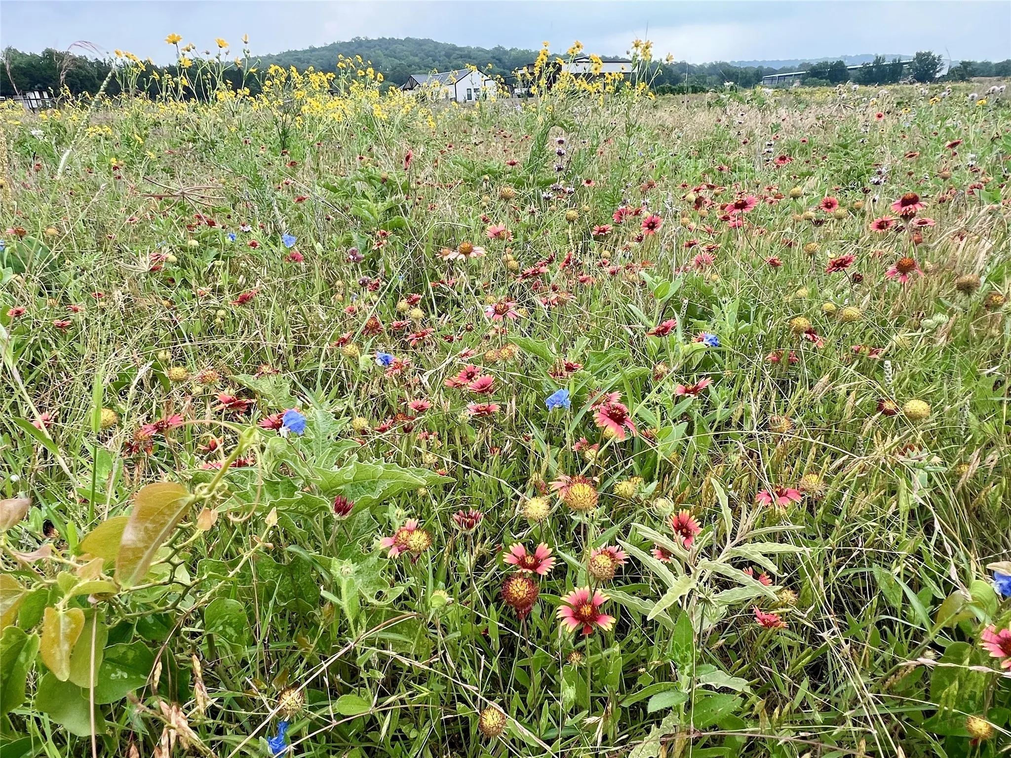 Unimproved Land For Sale in Young County , Tract 7 S. Ranch Dr., Graham, Texas 76450, 0, 0, Garage spaces, 0 Sqft, built in 0, Price $215,000, mls#20624997, Real Estate Agent in Graham, Homes For Sale in Young county, Homes For Sale in Graham, Realtor in Graham Texas, Real Estate Brokerage Independent Realty Texas, Luminita Cordes Realtor