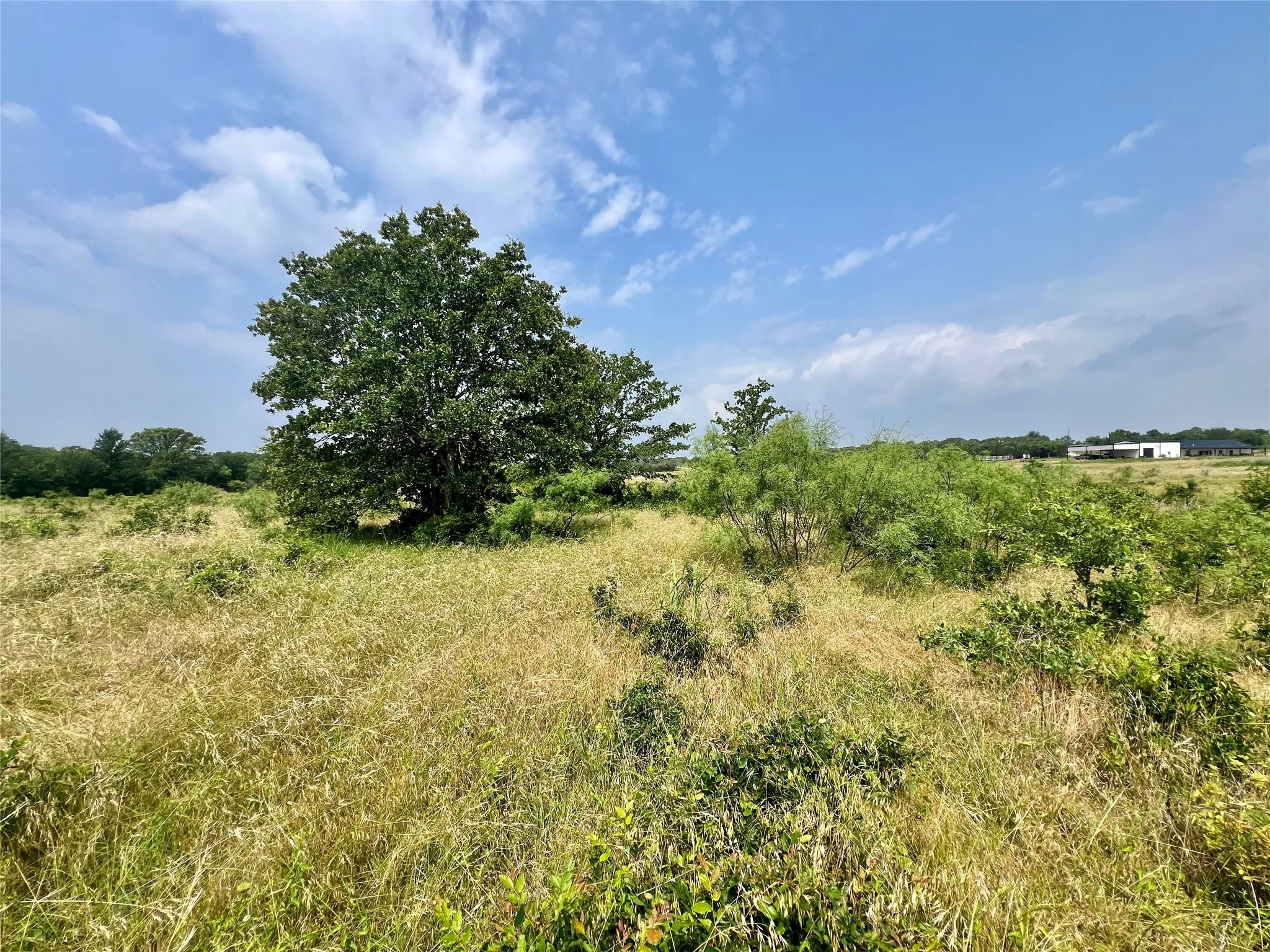Unimproved Land For Sale in Young County , Tract 7 S. Ranch Dr., Graham, Texas 76450, 0, 0, Garage spaces, 0 Sqft, built in 0, Price $215,000, mls#20624997, Real Estate Agent in Graham, Homes For Sale in Young county, Homes For Sale in Graham, Realtor in Graham Texas, Real Estate Brokerage Independent Realty Texas, Luminita Cordes Realtor