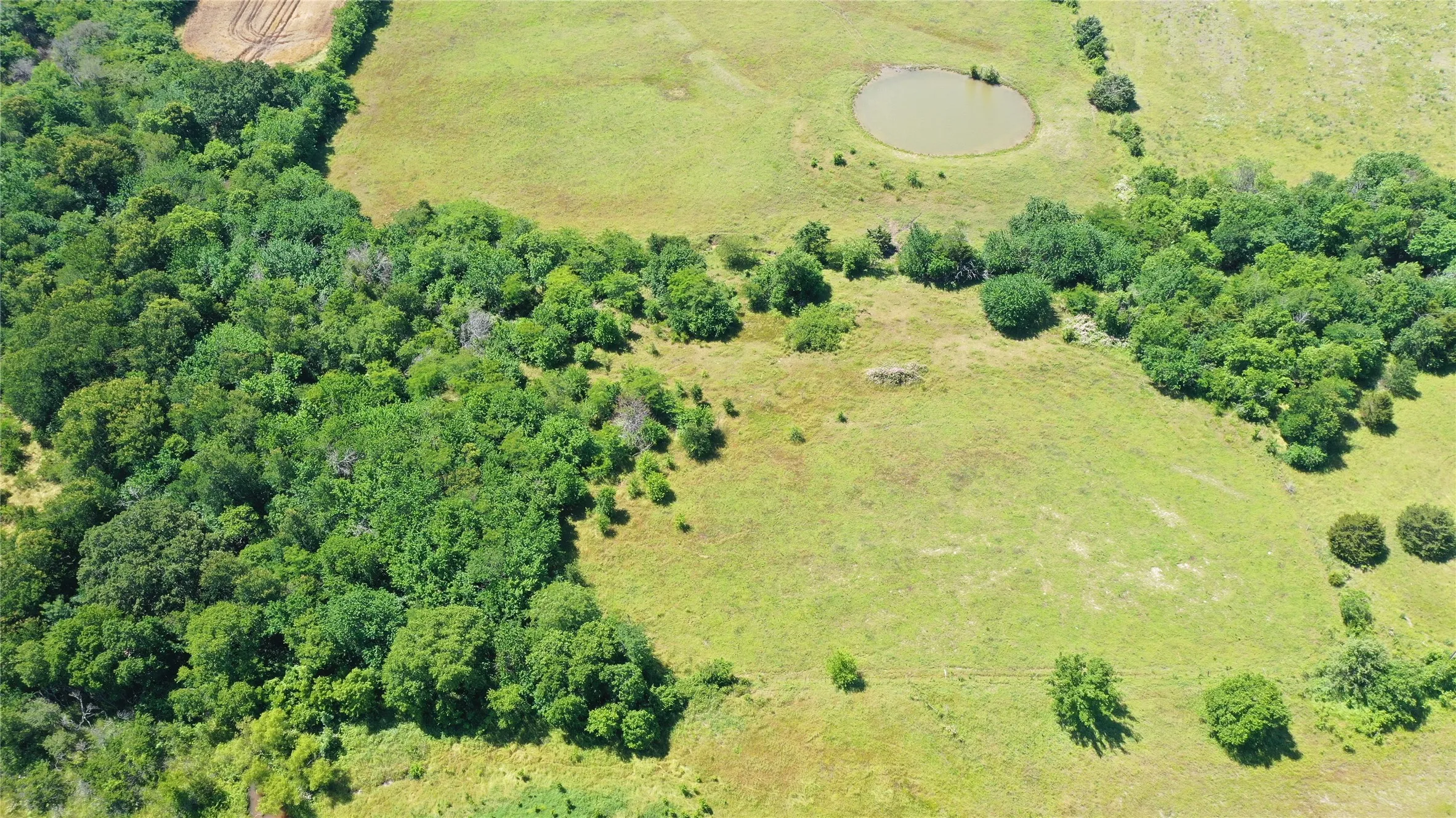 Improved Land For Sale in Hunt County , 2516 County Road 1017, Wolfe City, Texas 75423, 0, 0, Garage spaces, 0 Sqft, built in 1994, Price $459,990, mls#20623658, Real Estate Agent in Wolfe City, Homes For Sale in Hunt county, Homes For Sale in Wolfe City, Realtor in Wolfe City Texas, Real Estate Brokerage Independent Realty Texas, Luminita Cordes Realtor