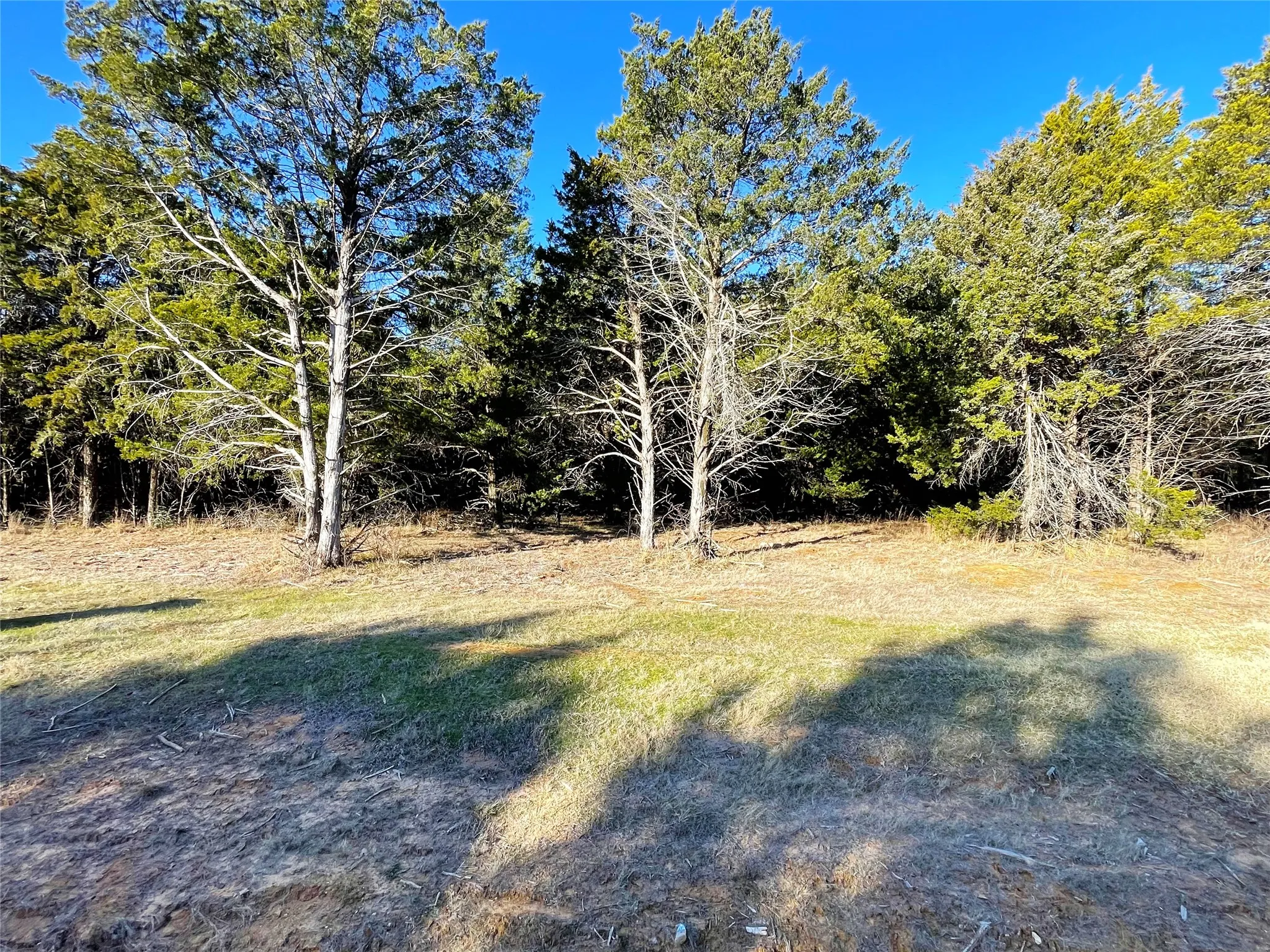 Unimproved Land For Sale in Grayson County , 847 Eagle Oaks Drive, Gordonville, Texas 76245, 0, 0, Garage spaces, 0 Sqft, built in 0, Price $39,990, mls#20634690, Real Estate Agent in Gordonville, Homes For Sale in Grayson county, Homes For Sale in Gordonville, Realtor in Gordonville Texas, Real Estate Brokerage Independent Realty Texas, Luminita Cordes Realtor