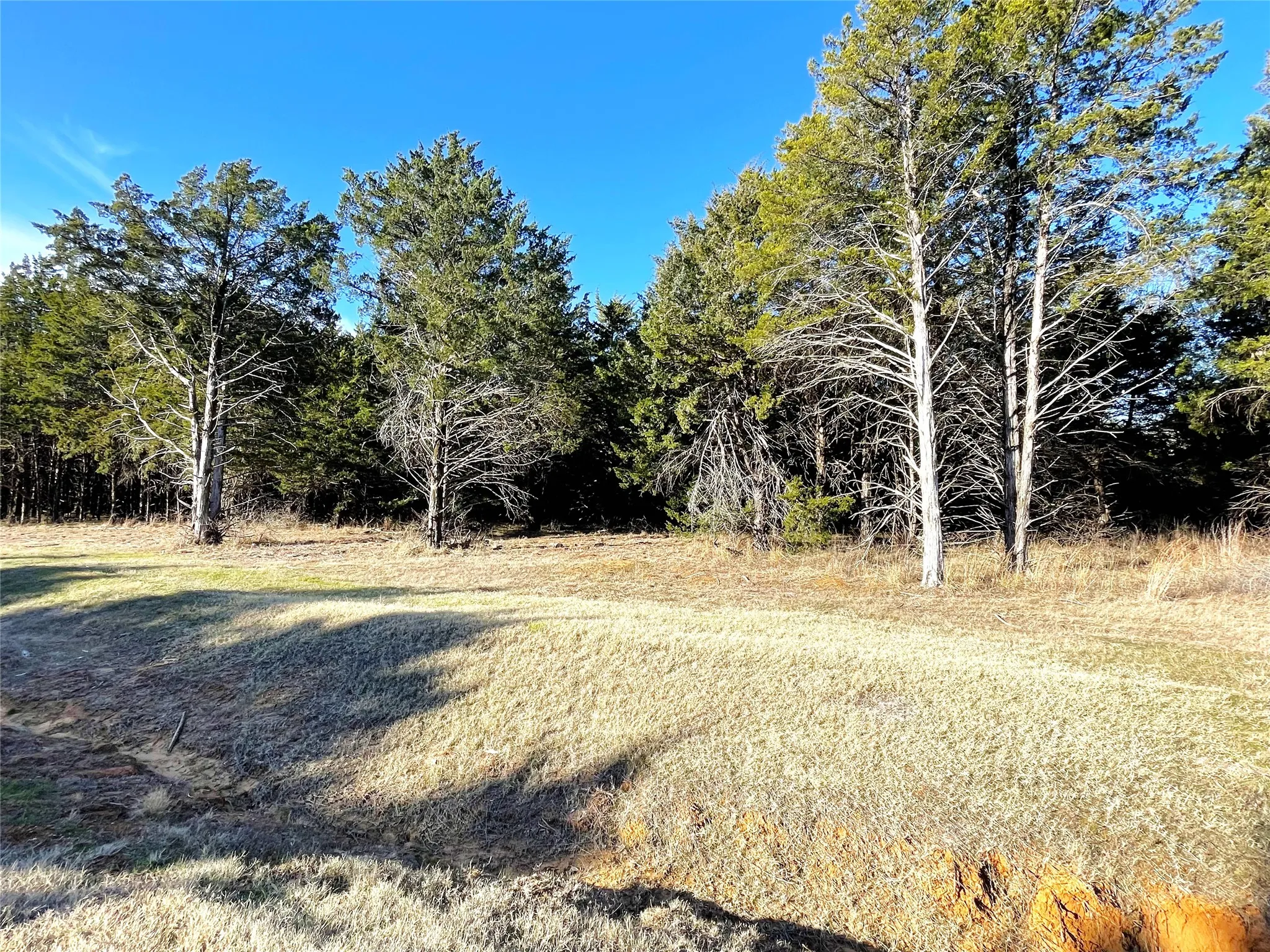 Unimproved Land For Sale in Grayson County , 847 Eagle Oaks Drive, Gordonville, Texas 76245, 0, 0, Garage spaces, 0 Sqft, built in 0, Price $39,990, mls#20634690, Real Estate Agent in Gordonville, Homes For Sale in Grayson county, Homes For Sale in Gordonville, Realtor in Gordonville Texas, Real Estate Brokerage Independent Realty Texas, Luminita Cordes Realtor