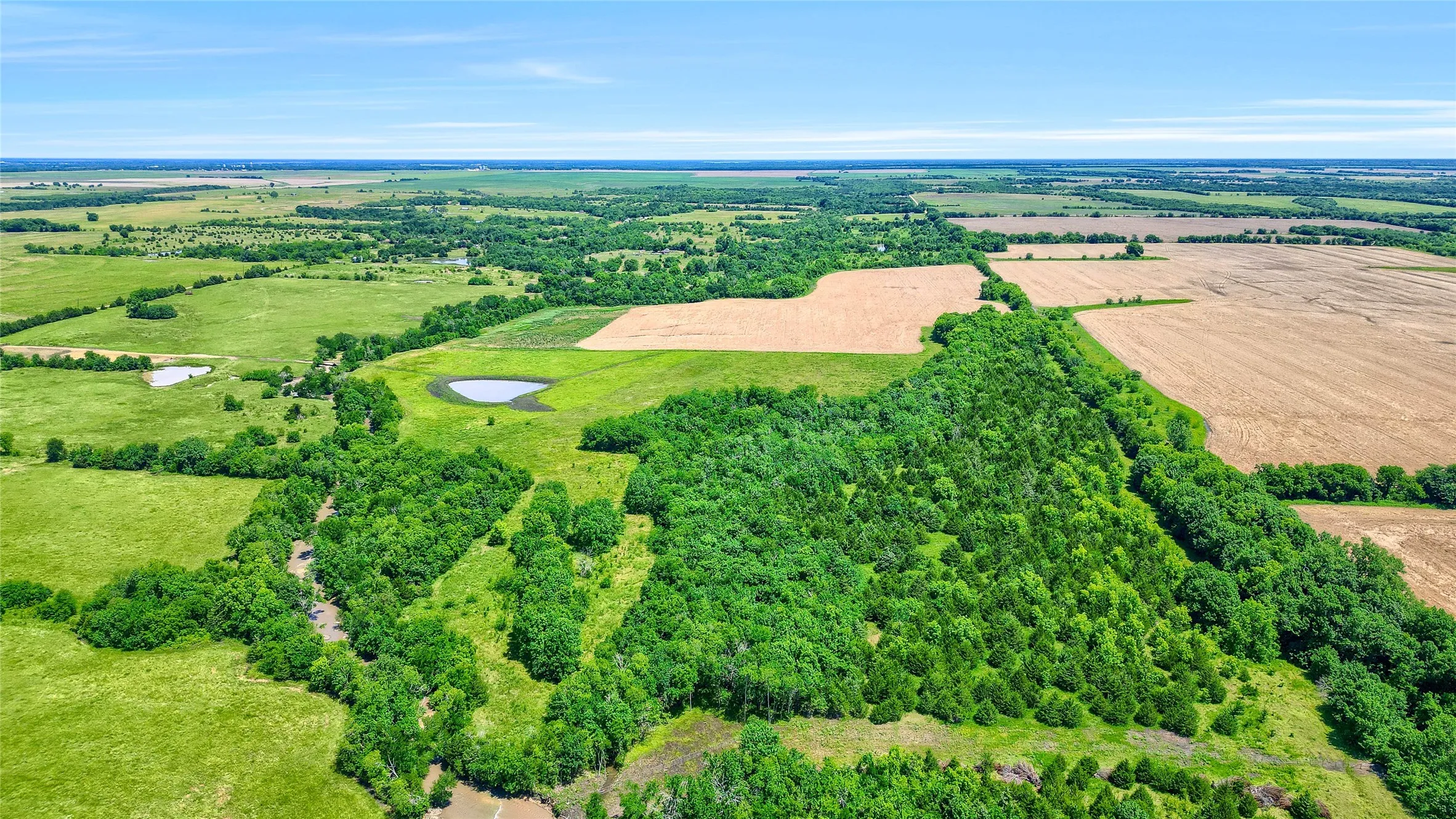 Improved Land For Sale in Fannin County , TBD County Rd 3489, Honey Grove, Texas 75446, 0, 0, Garage spaces, 0 Sqft, built in 0, mls#20636318, Real Estate Agent in Honey Grove, Homes For Sale in Fannin county, Homes For Sale in Honey Grove, Realtor in Honey Grove Texas, Real Estate Brokerage Independent Realty Texas, Luminita Cordes Realtor