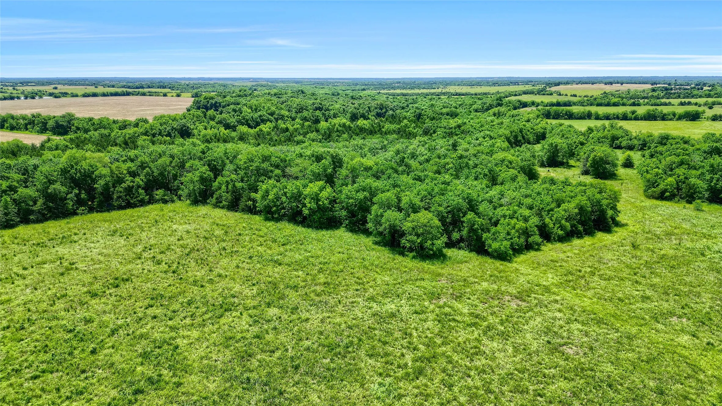 Improved Land For Sale in Fannin County , TBD County Rd 3489, Honey Grove, Texas 75446, 0, 0, Garage spaces, 0 Sqft, built in 0, mls#20636318, Real Estate Agent in Honey Grove, Homes For Sale in Fannin county, Homes For Sale in Honey Grove, Realtor in Honey Grove Texas, Real Estate Brokerage Independent Realty Texas, Luminita Cordes Realtor