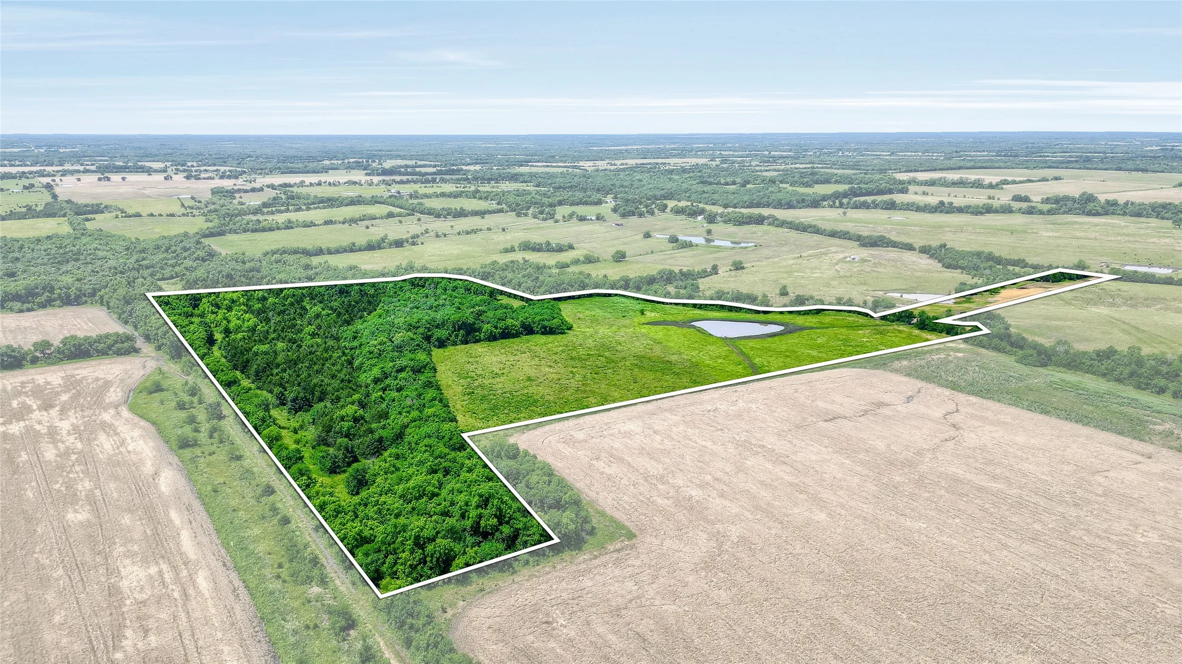 Improved Land For Sale in Fannin County , TBD County Rd 3489, Honey Grove, Texas 75446, 0, 0, Garage spaces, 0 Sqft, built in 0, mls#20636318, Real Estate Agent in Honey Grove, Homes For Sale in Fannin county, Homes For Sale in Honey Grove, Realtor in Honey Grove Texas, Real Estate Brokerage Independent Realty Texas, Luminita Cordes Realtor