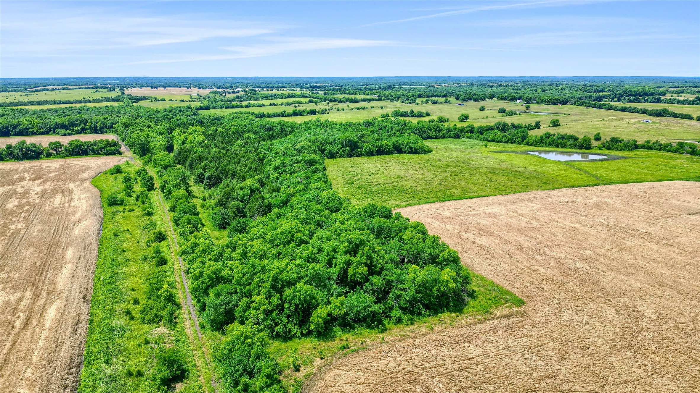 Improved Land For Sale in Fannin County , TBD County Rd 3489, Honey Grove, Texas 75446, 0, 0, Garage spaces, 0 Sqft, built in 0, mls#20636318, Real Estate Agent in Honey Grove, Homes For Sale in Fannin county, Homes For Sale in Honey Grove, Realtor in Honey Grove Texas, Real Estate Brokerage Independent Realty Texas, Luminita Cordes Realtor