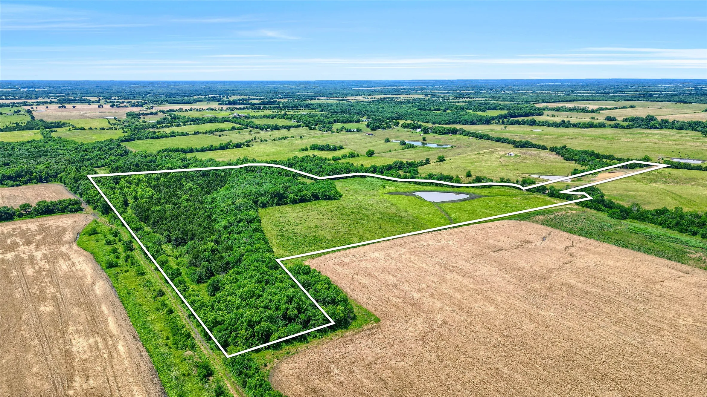 Improved Land For Sale in Fannin County , TBD County Rd 3489, Honey Grove, Texas 75446, 0, 0, Garage spaces, 0 Sqft, built in 0, mls#20636318, Real Estate Agent in Honey Grove, Homes For Sale in Fannin county, Homes For Sale in Honey Grove, Realtor in Honey Grove Texas, Real Estate Brokerage Independent Realty Texas, Luminita Cordes Realtor