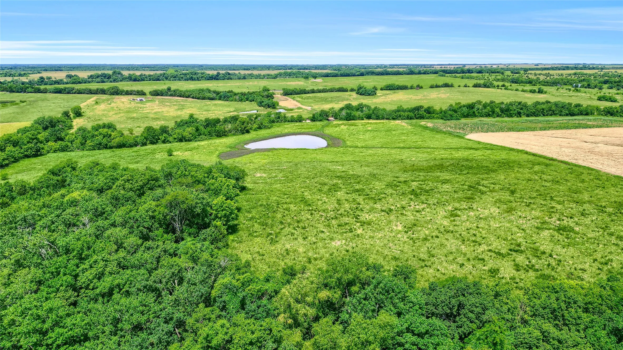 Improved Land For Sale in Fannin County , TBD County Rd 3489, Honey Grove, Texas 75446, 0, 0, Garage spaces, 0 Sqft, built in 0, mls#20636318, Real Estate Agent in Honey Grove, Homes For Sale in Fannin county, Homes For Sale in Honey Grove, Realtor in Honey Grove Texas, Real Estate Brokerage Independent Realty Texas, Luminita Cordes Realtor