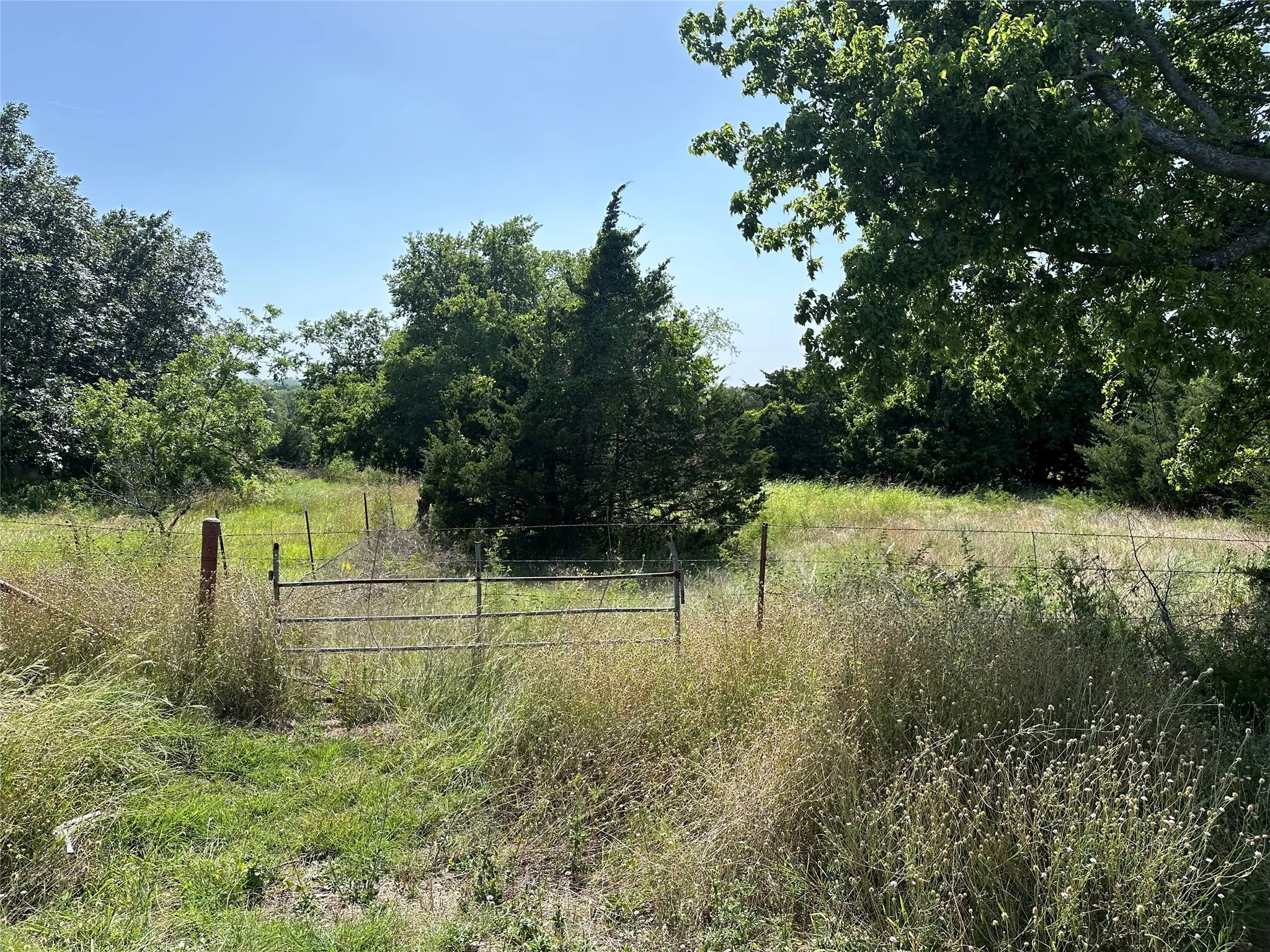 View of local wilderness with a rural view