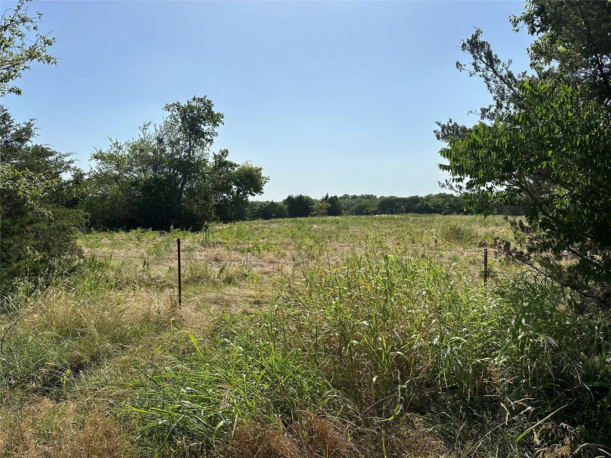 View of local wilderness featuring a rural view