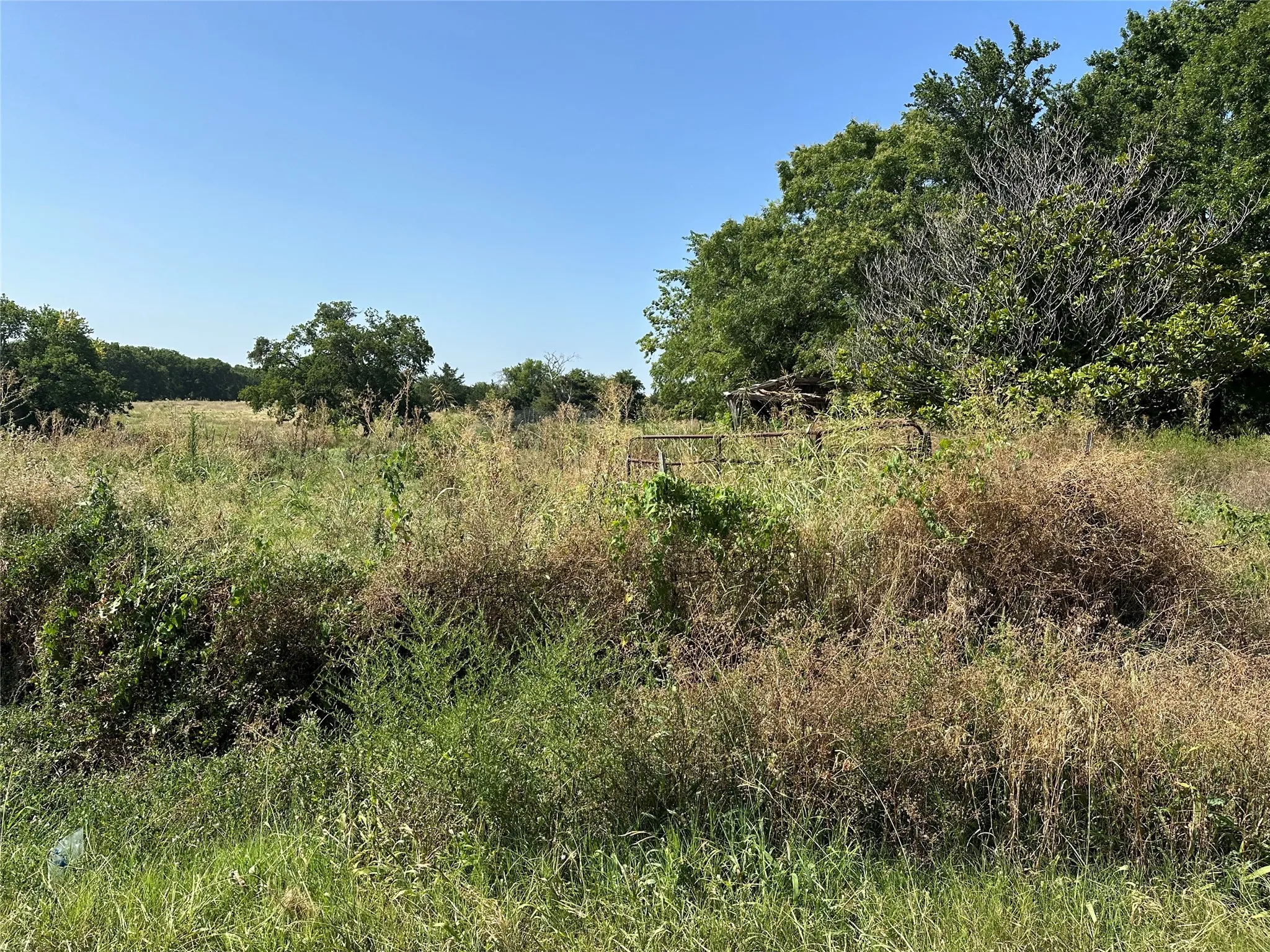 View of local wilderness featuring a rural view
