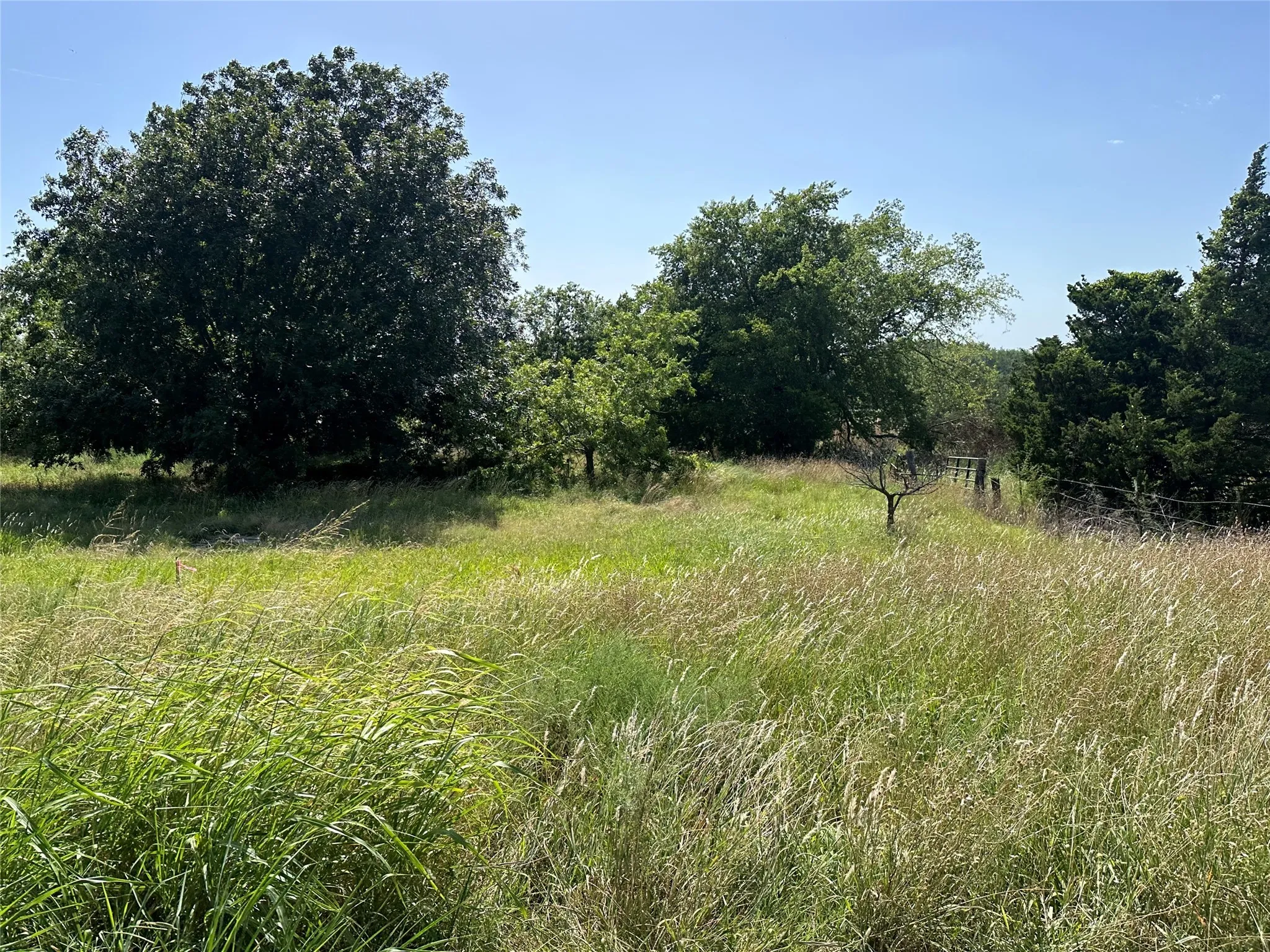 View of nature featuring a rural view