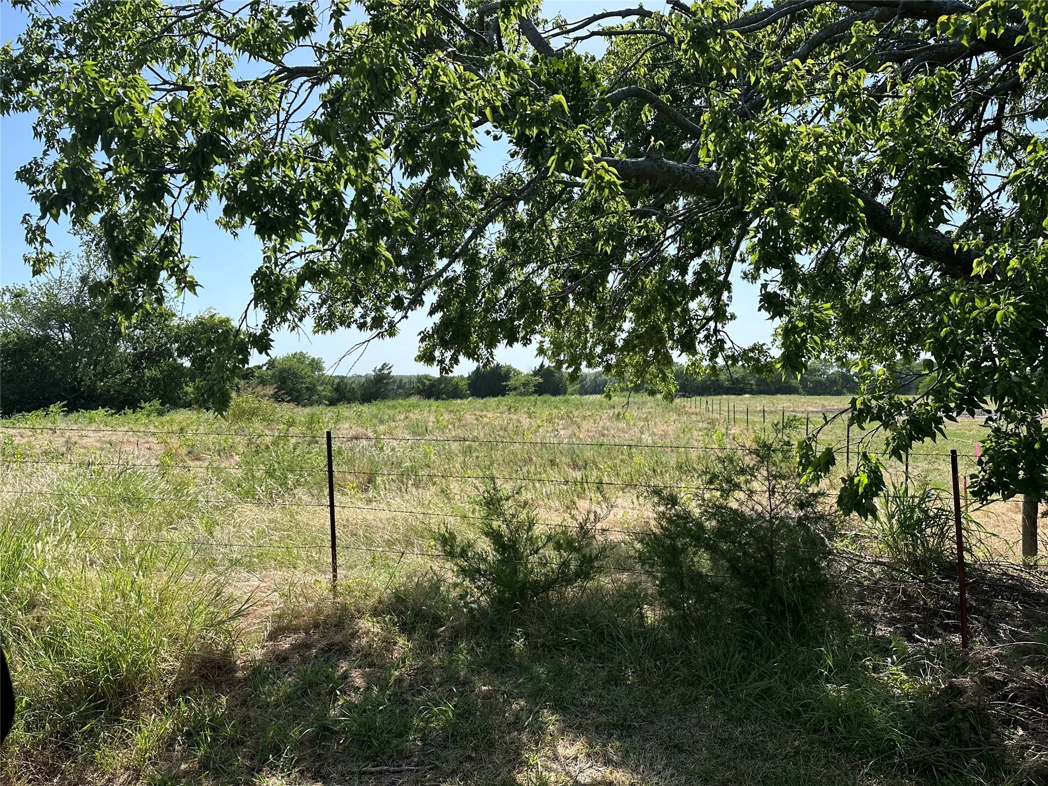 View of local wilderness with a rural view