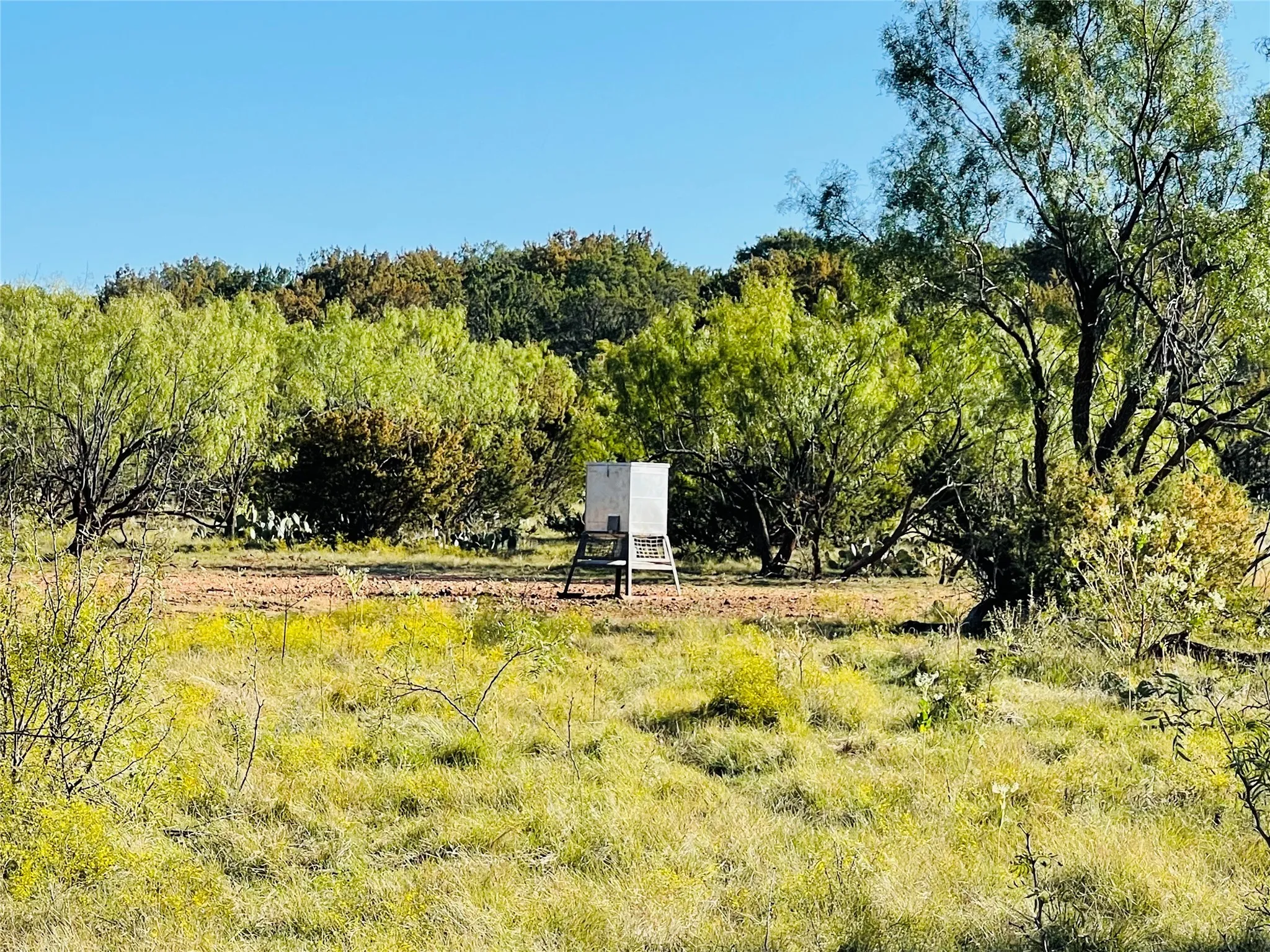 Ranch For Sale in Coke County , 1089 Tennyson Road, Bronte, Texas 76933, 0, 0, Garage spaces, 0 Sqft, built in 2016, Price $5,000,000, mls#20640253, Real Estate Agent in Bronte, Homes For Sale in Coke county, Homes For Sale in Bronte, Realtor in Bronte Texas, Real Estate Brokerage Independent Realty Texas, Luminita Cordes Realtor