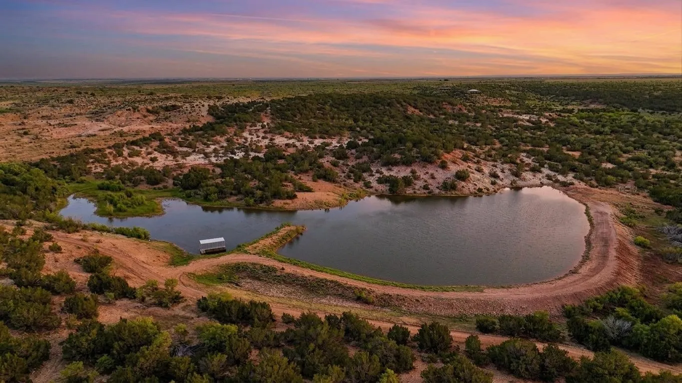 Ranch For Sale in Coke County , 1089 Tennyson Road, Bronte, Texas 76933, 0, 0, Garage spaces, 0 Sqft, built in 2016, Price $5,000,000, mls#20640253, Real Estate Agent in Bronte, Homes For Sale in Coke county, Homes For Sale in Bronte, Realtor in Bronte Texas, Real Estate Brokerage Independent Realty Texas, Luminita Cordes Realtor