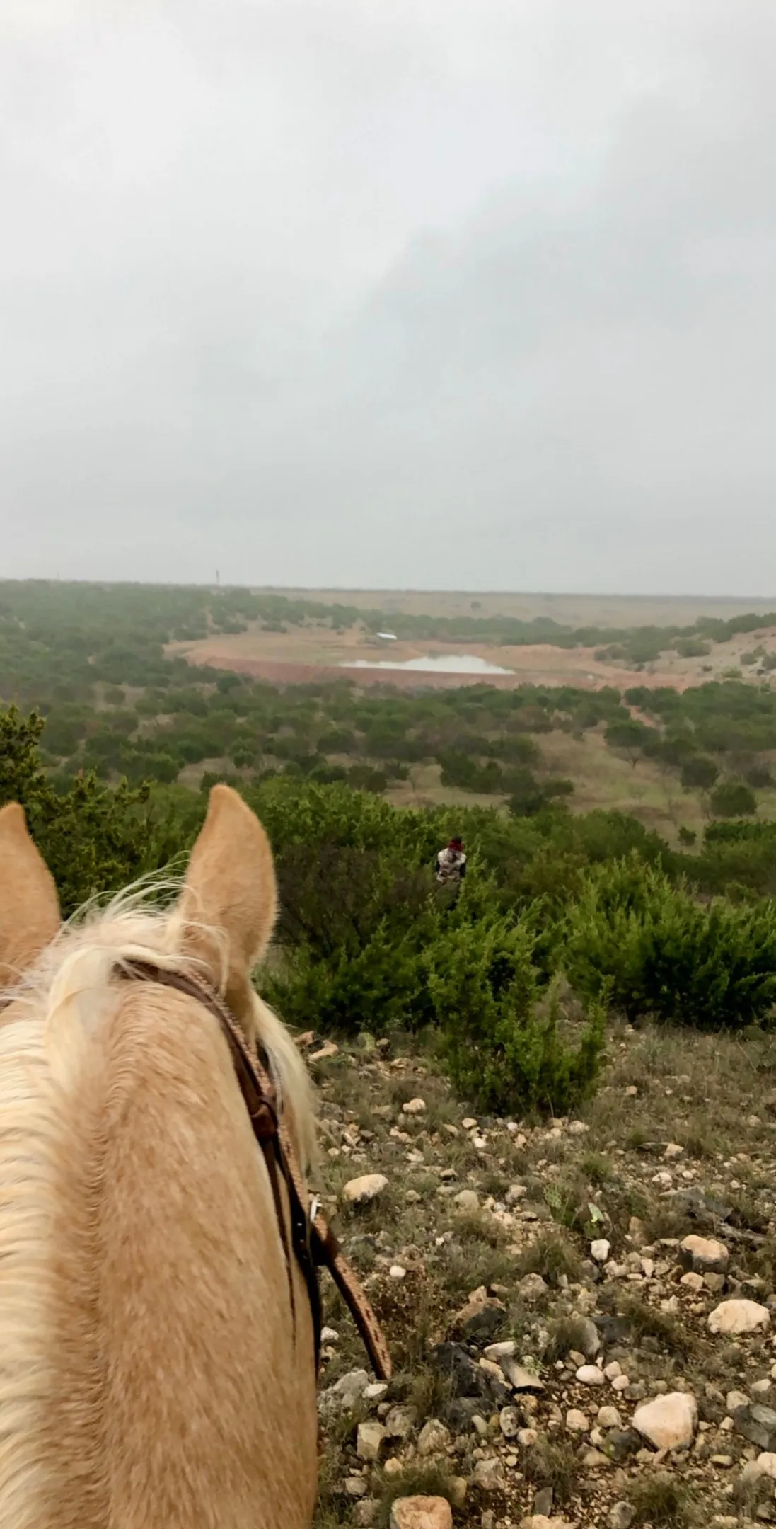 Ranch For Sale in Coke County , 1089 Tennyson Road, Bronte, Texas 76933, 0, 0, Garage spaces, 0 Sqft, built in 2016, Price $5,000,000, mls#20640253, Real Estate Agent in Bronte, Homes For Sale in Coke county, Homes For Sale in Bronte, Realtor in Bronte Texas, Real Estate Brokerage Independent Realty Texas, Luminita Cordes Realtor
