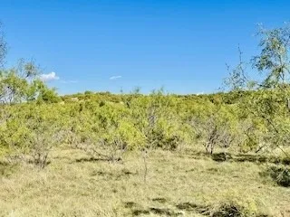 Ranch For Sale in Coke County , 1089 Tennyson Road, Bronte, Texas 76933, 0, 0, Garage spaces, 0 Sqft, built in 2016, Price $5,000,000, mls#20640253, Real Estate Agent in Bronte, Homes For Sale in Coke county, Homes For Sale in Bronte, Realtor in Bronte Texas, Real Estate Brokerage Independent Realty Texas, Luminita Cordes Realtor