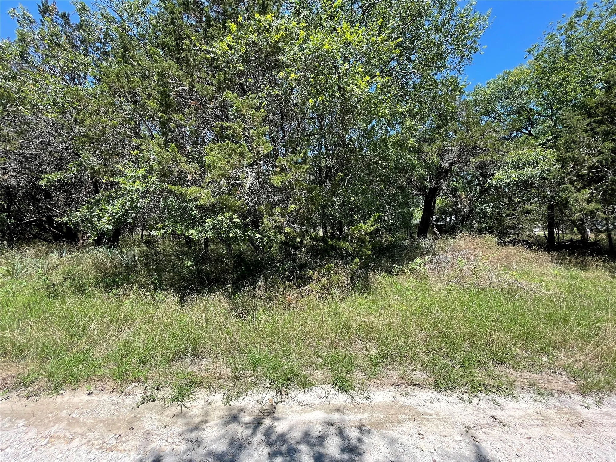 View of back of property on CR 1527