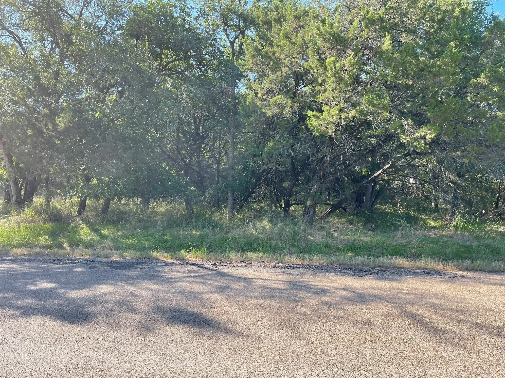 Unimproved Land For Sale in Bosque County , TBD County Road 1527 U1, Morgan, Texas 76671, 0, 0, Garage spaces, 0 Sqft, built in 0, Price $49,000, mls#20639870, Real Estate Agent in Morgan, Homes For Sale in Bosque county, Homes For Sale in Morgan, Realtor in Morgan Texas, Real Estate Brokerage Independent Realty Texas, Luminita Cordes Realtor
