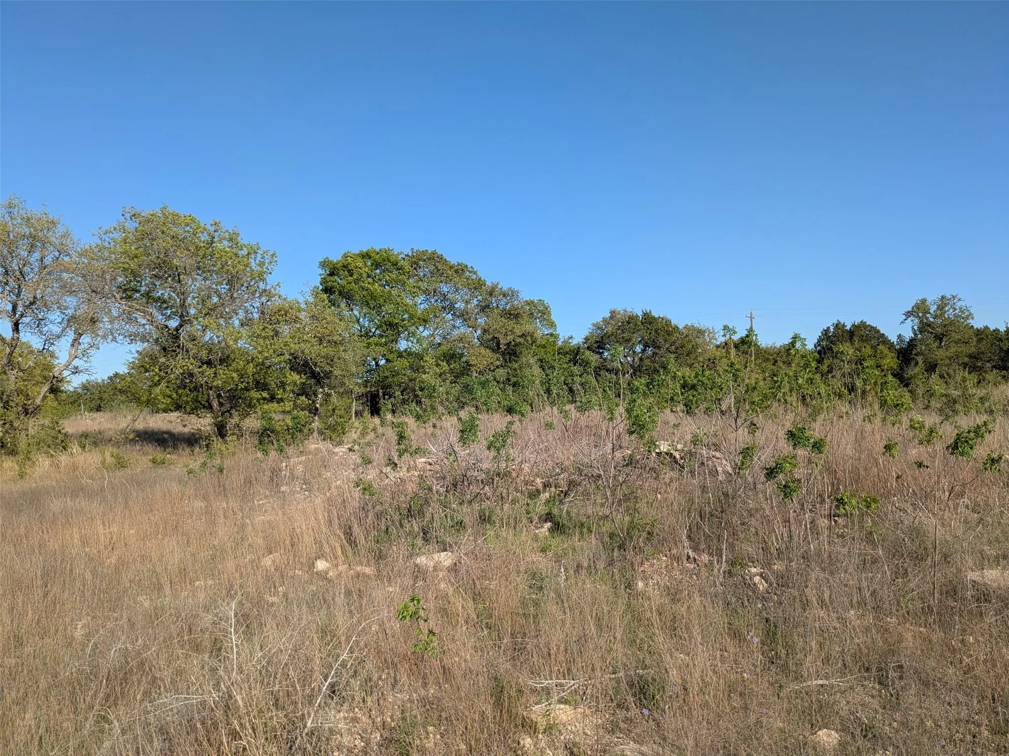 Unimproved Land For Sale in Hamilton County , 1314 CR 127, Carlton, Texas 76456, 0, 0, Garage spaces, 0 Sqft, built in 2022, Price $105,000, mls#20637393, Real Estate Agent in Carlton, Homes For Sale in Hamilton county, Homes For Sale in Carlton, Realtor in Carlton Texas, Real Estate Brokerage Independent Realty Texas, Luminita Cordes Realtor