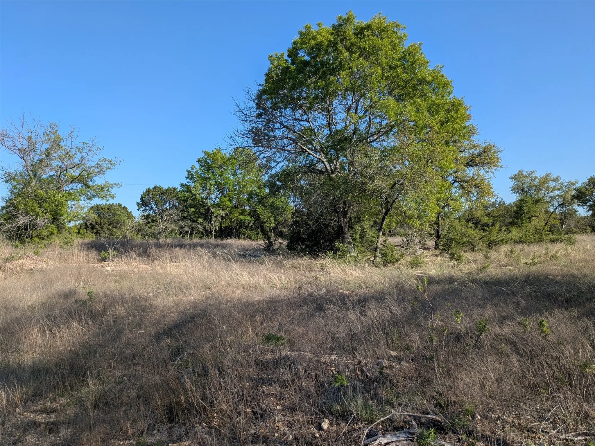 Unimproved Land For Sale in Hamilton County , 1314 CR 127, Carlton, Texas 76456, 0, 0, Garage spaces, 0 Sqft, built in 2022, Price $105,000, mls#20637393, Real Estate Agent in Carlton, Homes For Sale in Hamilton county, Homes For Sale in Carlton, Realtor in Carlton Texas, Real Estate Brokerage Independent Realty Texas, Luminita Cordes Realtor
