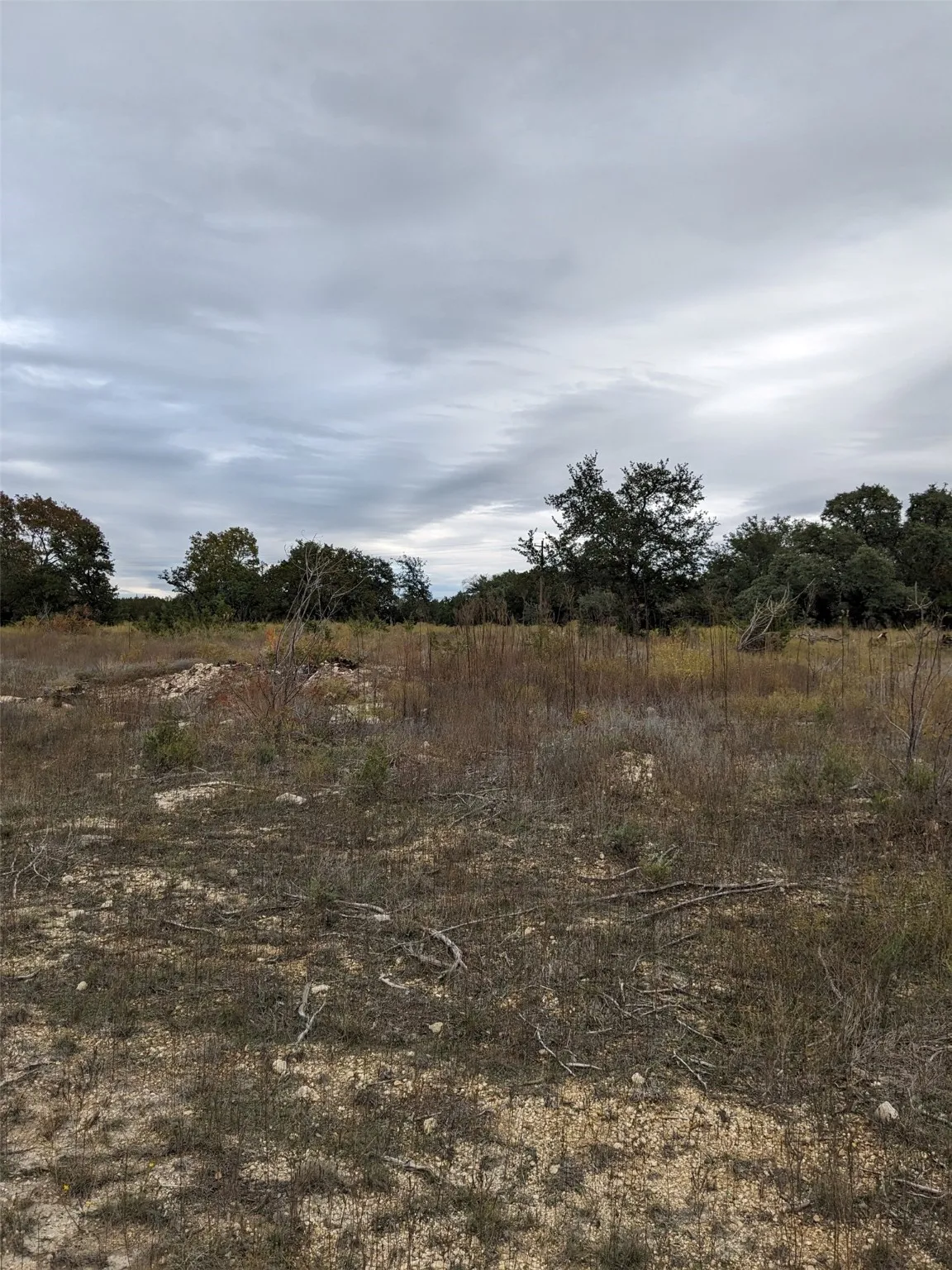 Unimproved Land For Sale in Hamilton County , 1314 CR 127, Carlton, Texas 76456, 0, 0, Garage spaces, 0 Sqft, built in 2022, Price $105,000, mls#20637393, Real Estate Agent in Carlton, Homes For Sale in Hamilton county, Homes For Sale in Carlton, Realtor in Carlton Texas, Real Estate Brokerage Independent Realty Texas, Luminita Cordes Realtor