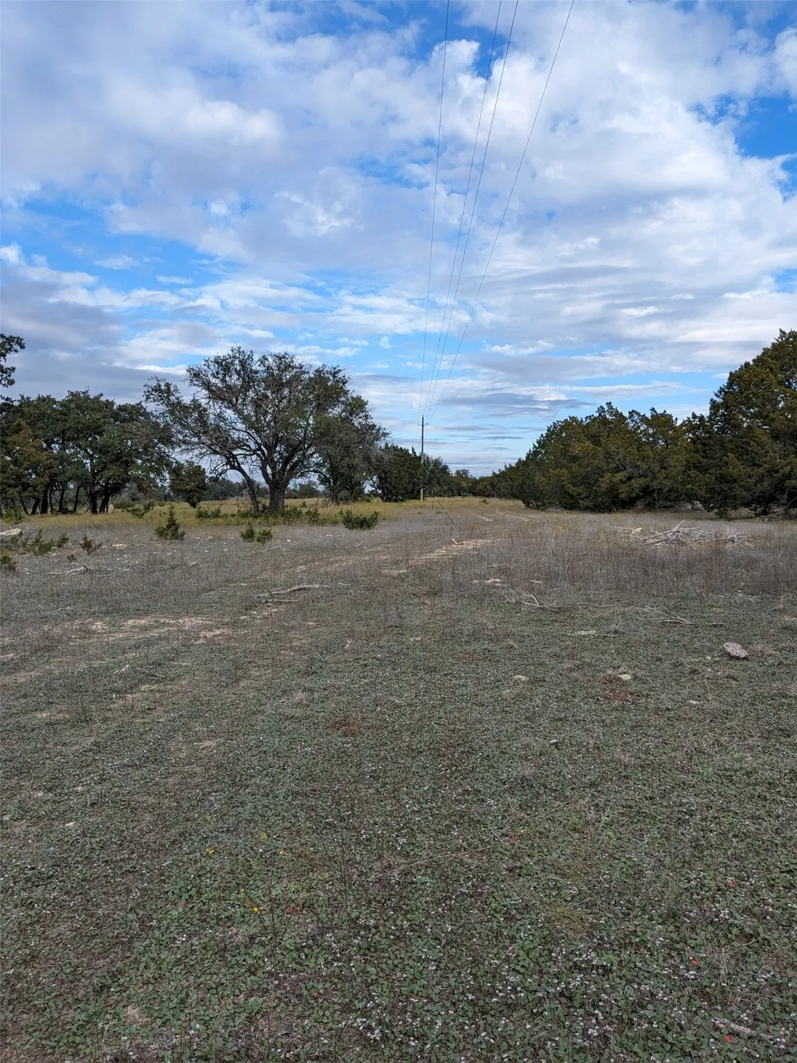 Unimproved Land For Sale in Hamilton County , 1314 CR 127, Carlton, Texas 76456, 0, 0, Garage spaces, 0 Sqft, built in 2022, Price $105,000, mls#20637393, Real Estate Agent in Carlton, Homes For Sale in Hamilton county, Homes For Sale in Carlton, Realtor in Carlton Texas, Real Estate Brokerage Independent Realty Texas, Luminita Cordes Realtor