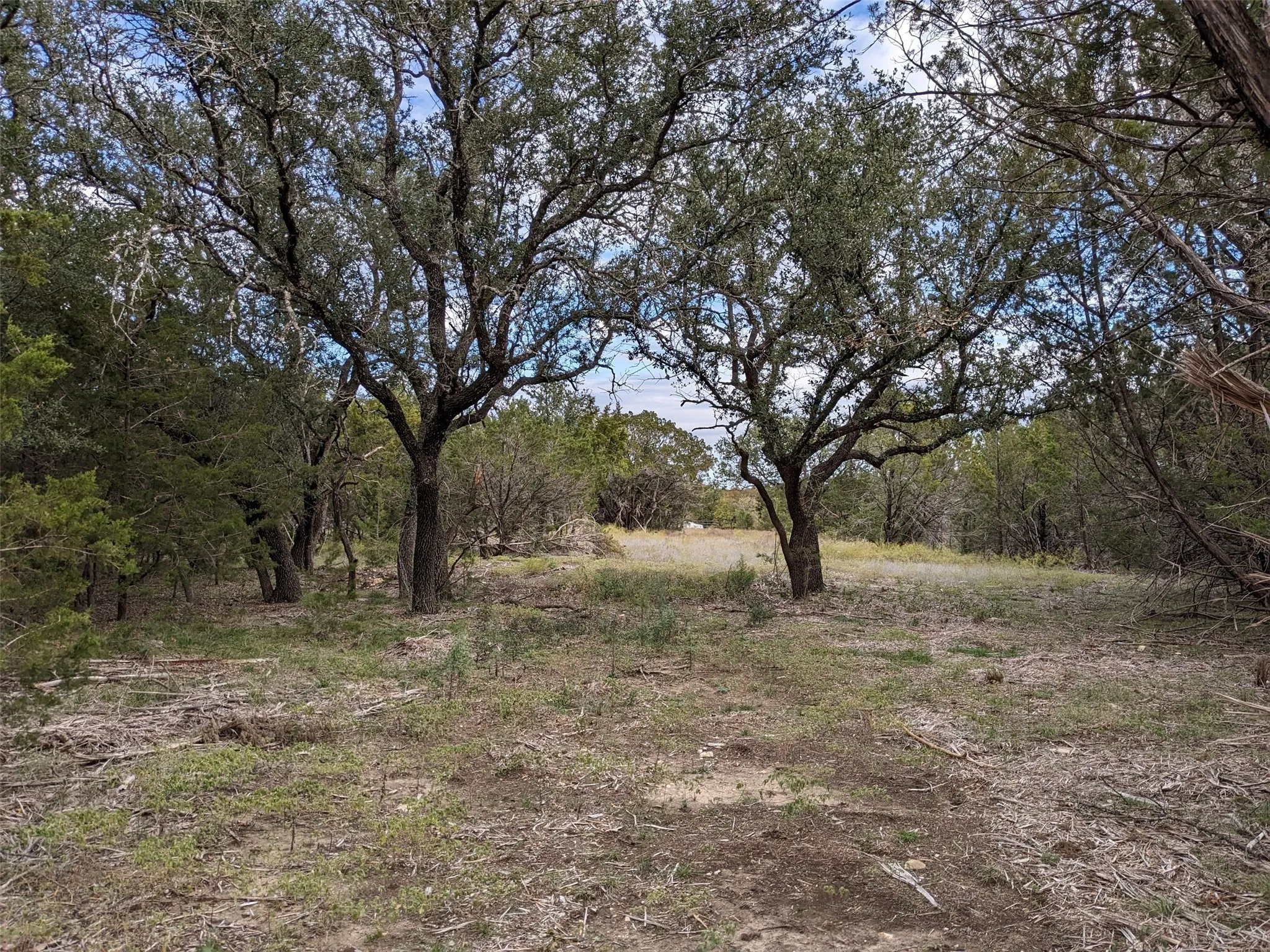 Lot 74
