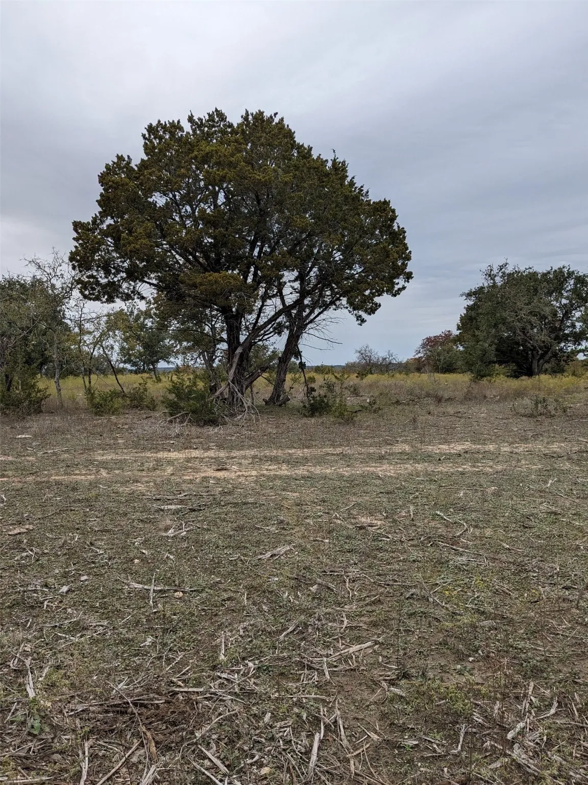 Unimproved Land For Sale in Hamilton County , 1314 CR 127, Carlton, Texas 76456, 0, 0, Garage spaces, 0 Sqft, built in 2022, Price $105,000, mls#20637393, Real Estate Agent in Carlton, Homes For Sale in Hamilton county, Homes For Sale in Carlton, Realtor in Carlton Texas, Real Estate Brokerage Independent Realty Texas, Luminita Cordes Realtor