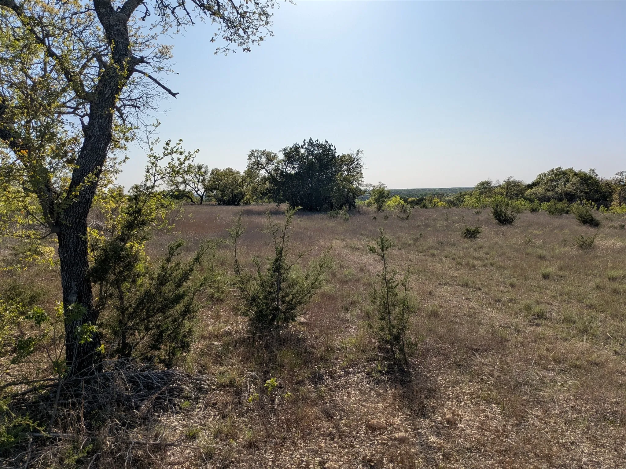 Unimproved Land For Sale in Hamilton County , 1314 CR 127, Carlton, Texas 76456, 0, 0, Garage spaces, 0 Sqft, built in 2022, Price $105,000, mls#20637393, Real Estate Agent in Carlton, Homes For Sale in Hamilton county, Homes For Sale in Carlton, Realtor in Carlton Texas, Real Estate Brokerage Independent Realty Texas, Luminita Cordes Realtor