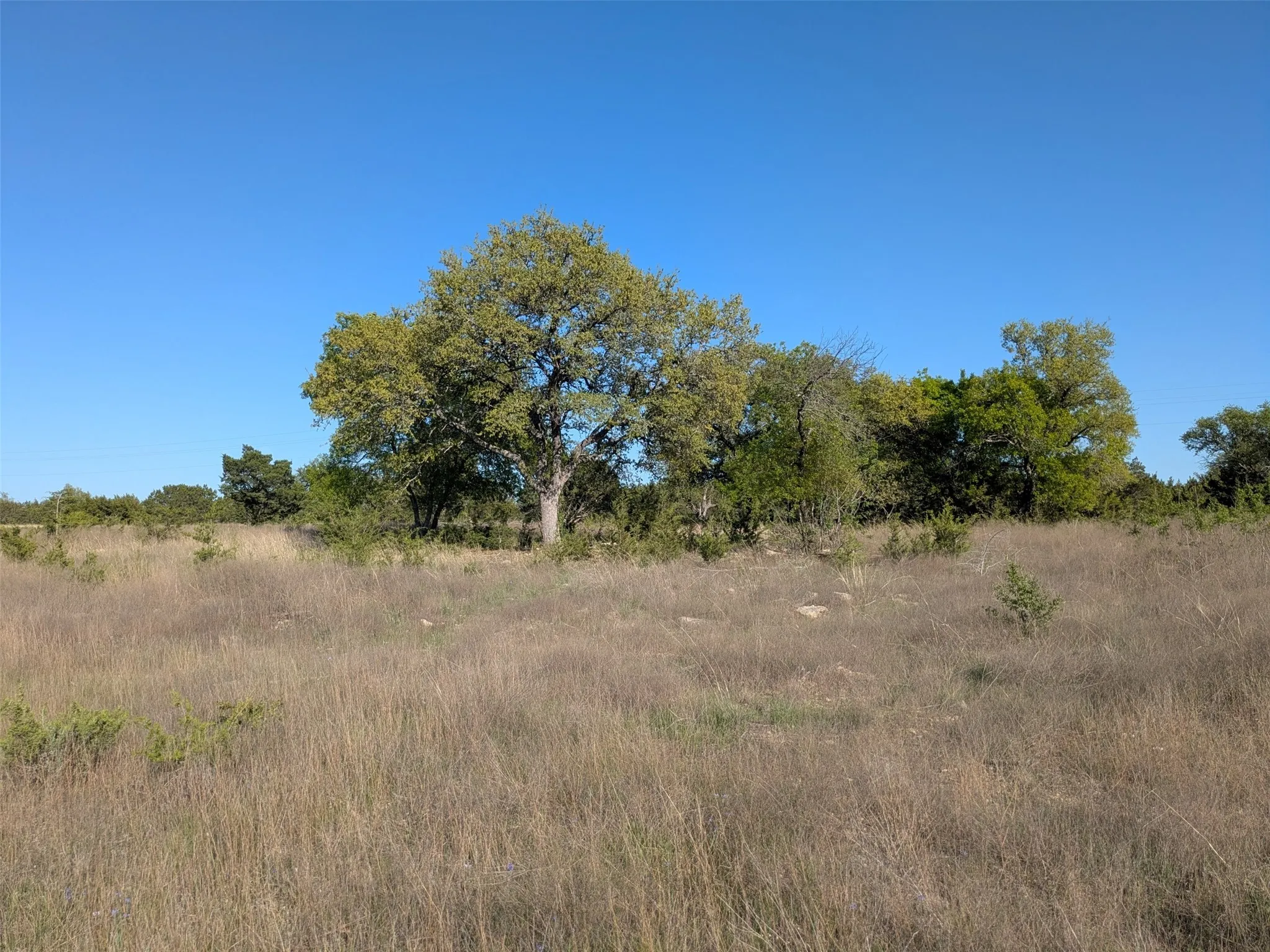 Unimproved Land For Sale in Hamilton County , 1314 CR 127, Carlton, Texas 76456, 0, 0, Garage spaces, 0 Sqft, built in 2022, Price $105,000, mls#20637393, Real Estate Agent in Carlton, Homes For Sale in Hamilton county, Homes For Sale in Carlton, Realtor in Carlton Texas, Real Estate Brokerage Independent Realty Texas, Luminita Cordes Realtor