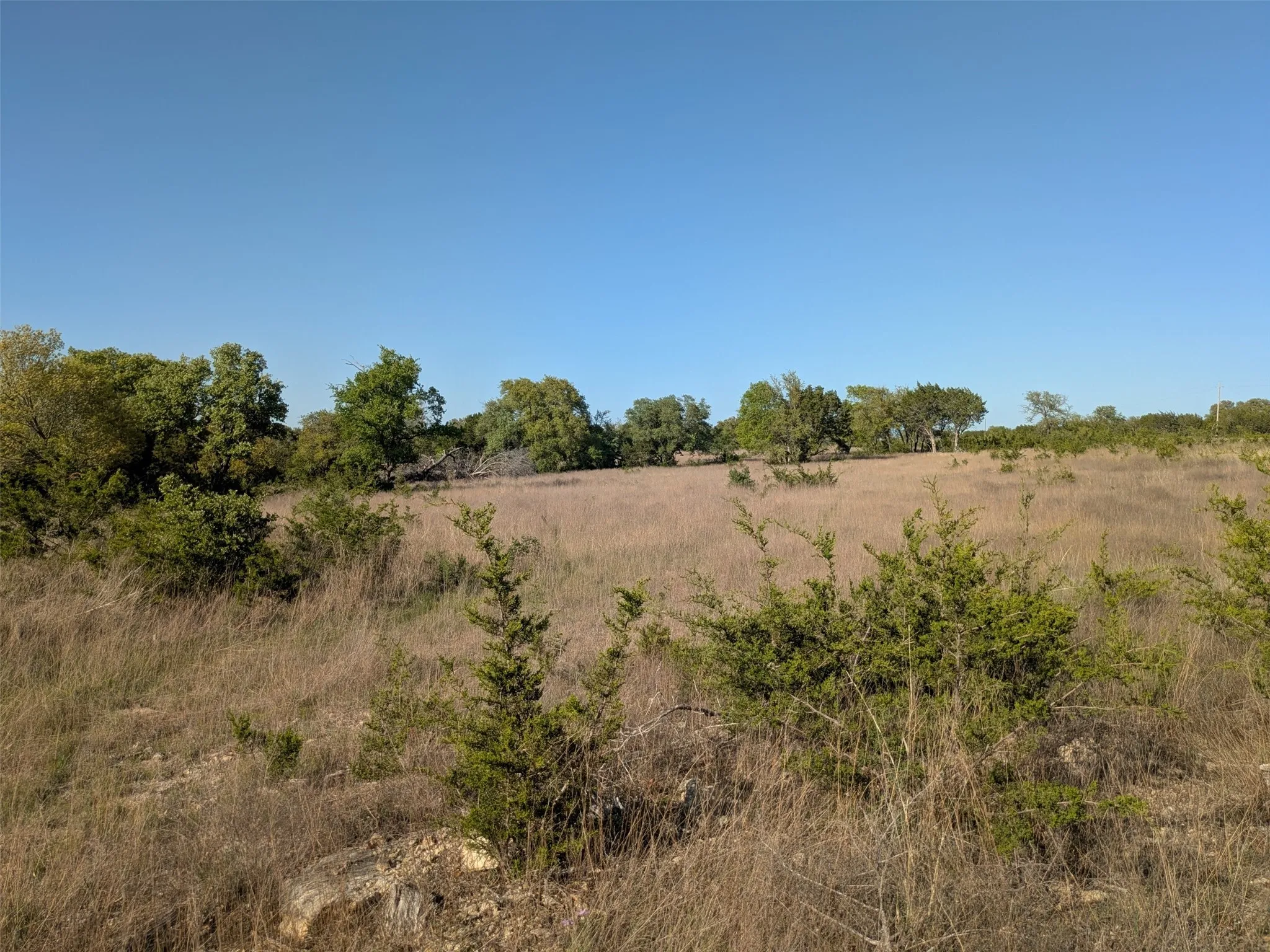 Unimproved Land For Sale in Hamilton County , 1314 CR 127, Carlton, Texas 76456, 0, 0, Garage spaces, 0 Sqft, built in 2022, Price $105,000, mls#20637393, Real Estate Agent in Carlton, Homes For Sale in Hamilton county, Homes For Sale in Carlton, Realtor in Carlton Texas, Real Estate Brokerage Independent Realty Texas, Luminita Cordes Realtor
