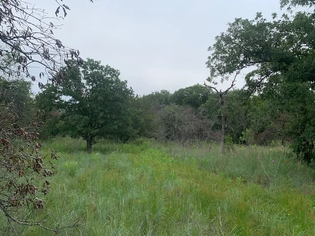 Unimproved Land For Sale in Parker County , 3.78 acres Boyd Road, Azle, Texas 76020, 0, 0, Garage spaces, 0 Sqft, built in 0, mls#20641933, Real Estate Agent in Azle, Homes For Sale in Parker county, Homes For Sale in Azle, Realtor in Azle Texas, Real Estate Brokerage Independent Realty Texas, Luminita Cordes Realtor