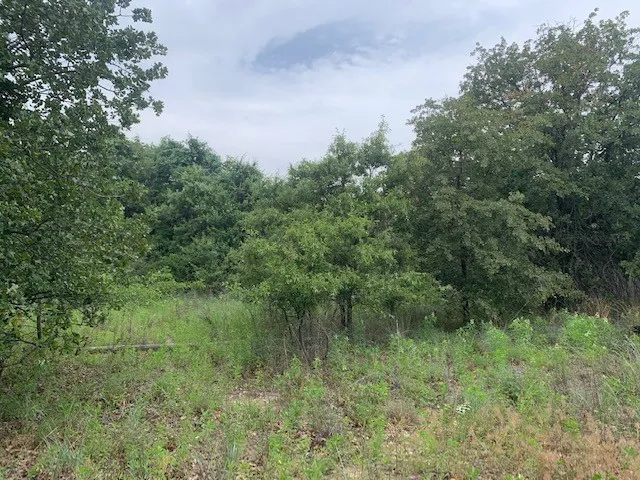Unimproved Land For Sale in Parker County , 3.78 acres Boyd Road, Azle, Texas 76020, 0, 0, Garage spaces, 0 Sqft, built in 0, mls#20641933, Real Estate Agent in Azle, Homes For Sale in Parker county, Homes For Sale in Azle, Realtor in Azle Texas, Real Estate Brokerage Independent Realty Texas, Luminita Cordes Realtor