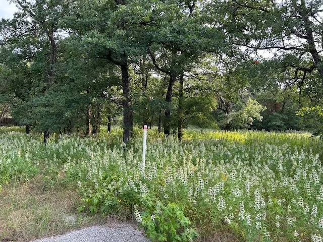 Unimproved Land For Sale in Parker County , 3.760 acres Boyd Road, Azle, Texas 76020, 0, 0, Garage spaces, 0 Sqft, built in 0, Price $550,000, mls#20641917, Real Estate Agent in Azle, Homes For Sale in Parker county, Homes For Sale in Azle, Realtor in Azle Texas, Real Estate Brokerage Independent Realty Texas, Luminita Cordes Realtor