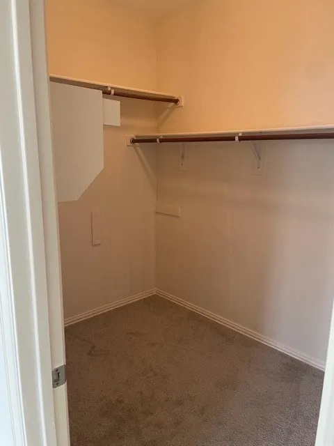 Walk in closet with dark carpet