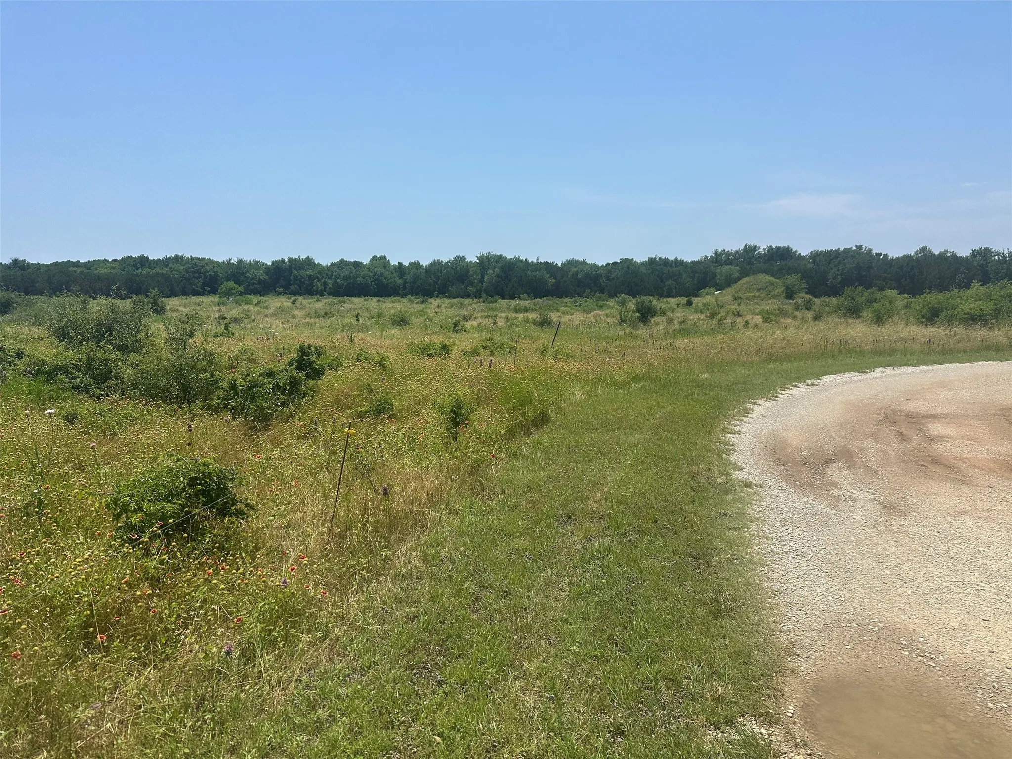 View of nature featuring a rural view