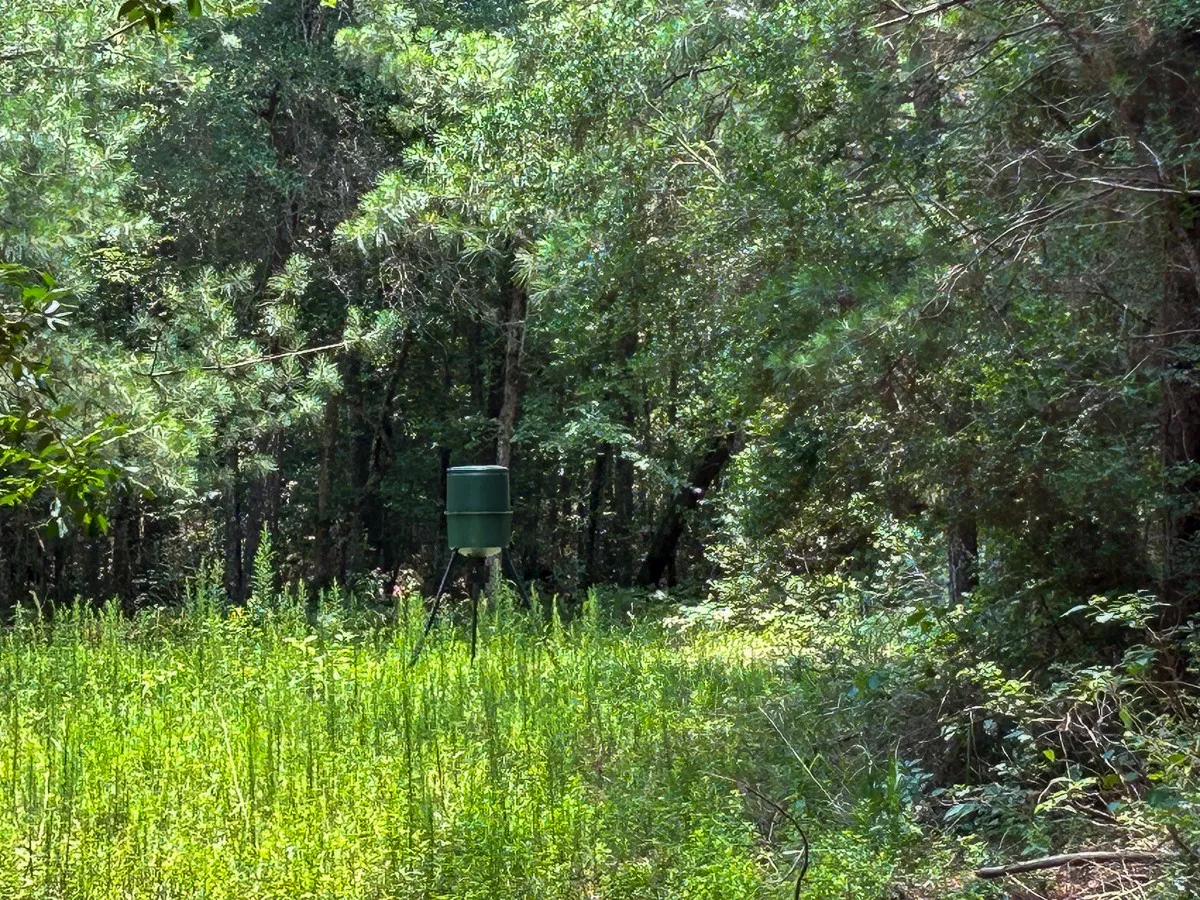 View of nature