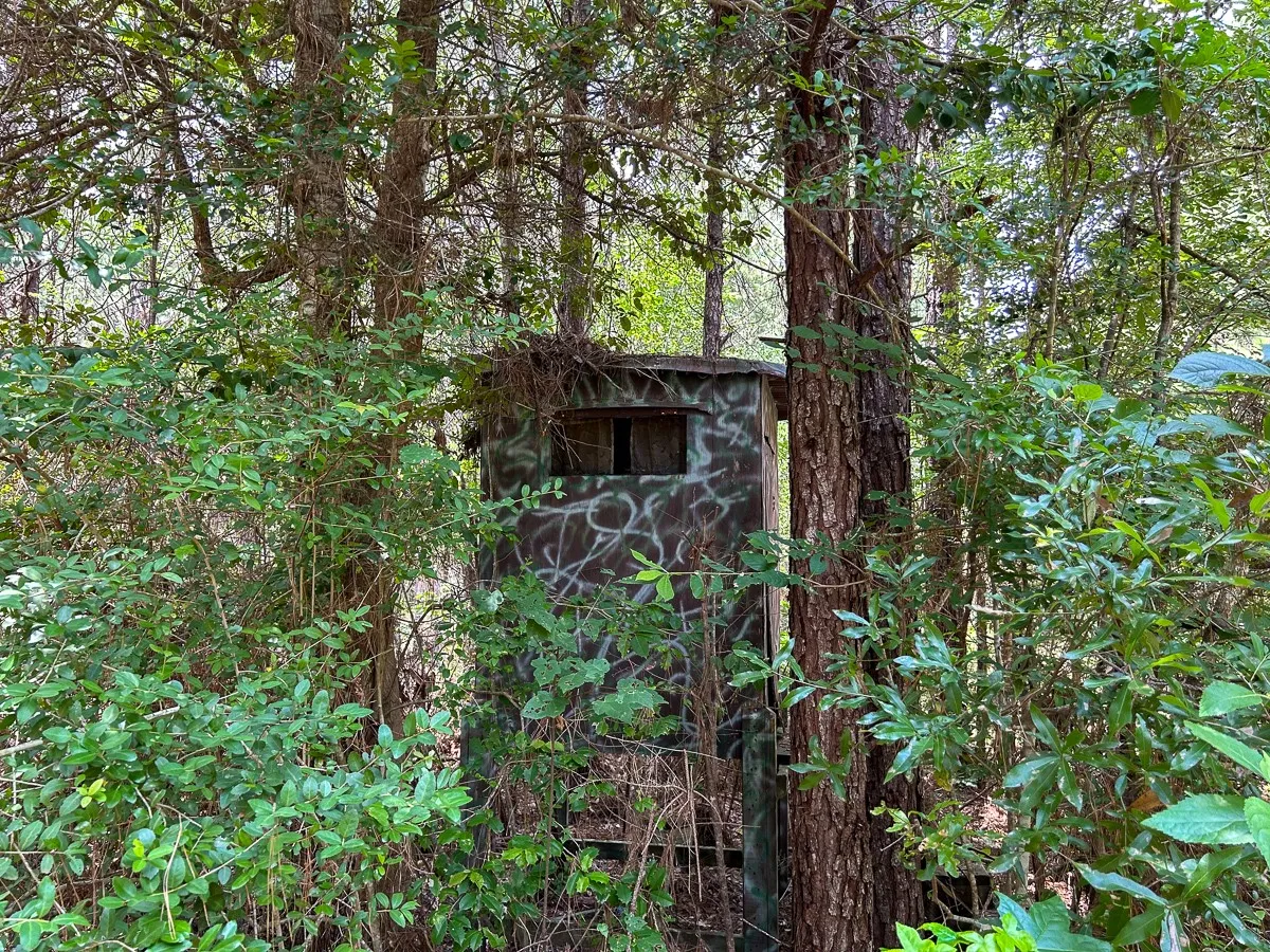 View of outdoor structure