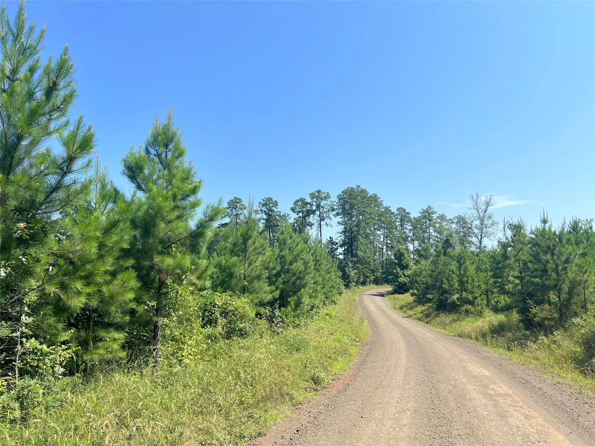 View of road