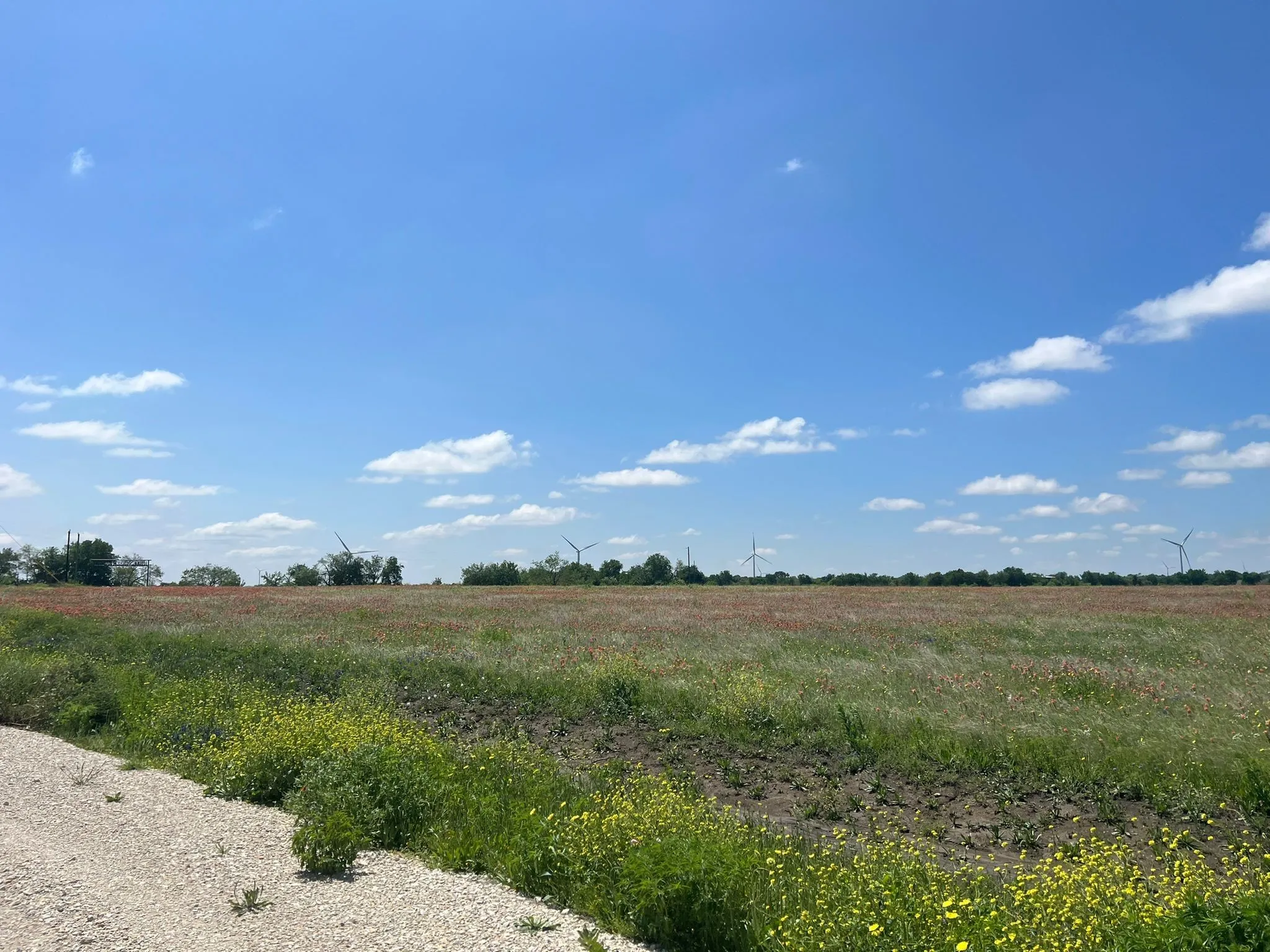 Unimproved Land For Sale in Hill County , TBD Hcr 3373, Hubbard, Texas 76648, 0, 0, Garage spaces, 0 Sqft, built in 0, Price $137,000, mls#20652291, Real Estate Agent in Hubbard, Homes For Sale in Hill county, Homes For Sale in Hubbard, Realtor in Hubbard Texas, Real Estate Brokerage Independent Realty Texas, Luminita Cordes Realtor