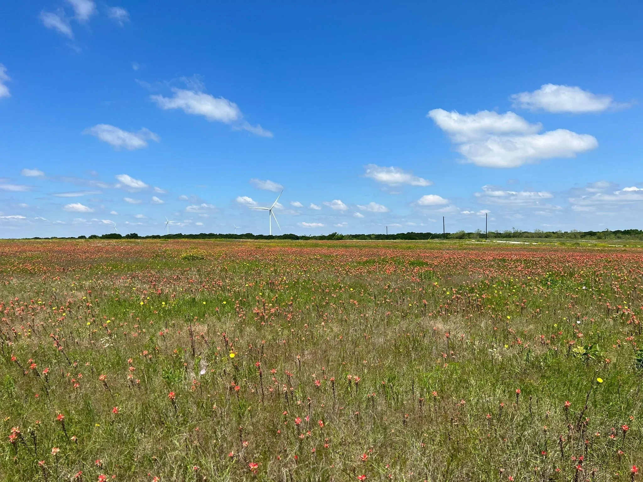Unimproved Land For Sale in Hill County , TBD Hcr 3373, Hubbard, Texas 76648, 0, 0, Garage spaces, 0 Sqft, built in 0, Price $137,000, mls#20652291, Real Estate Agent in Hubbard, Homes For Sale in Hill county, Homes For Sale in Hubbard, Realtor in Hubbard Texas, Real Estate Brokerage Independent Realty Texas, Luminita Cordes Realtor
